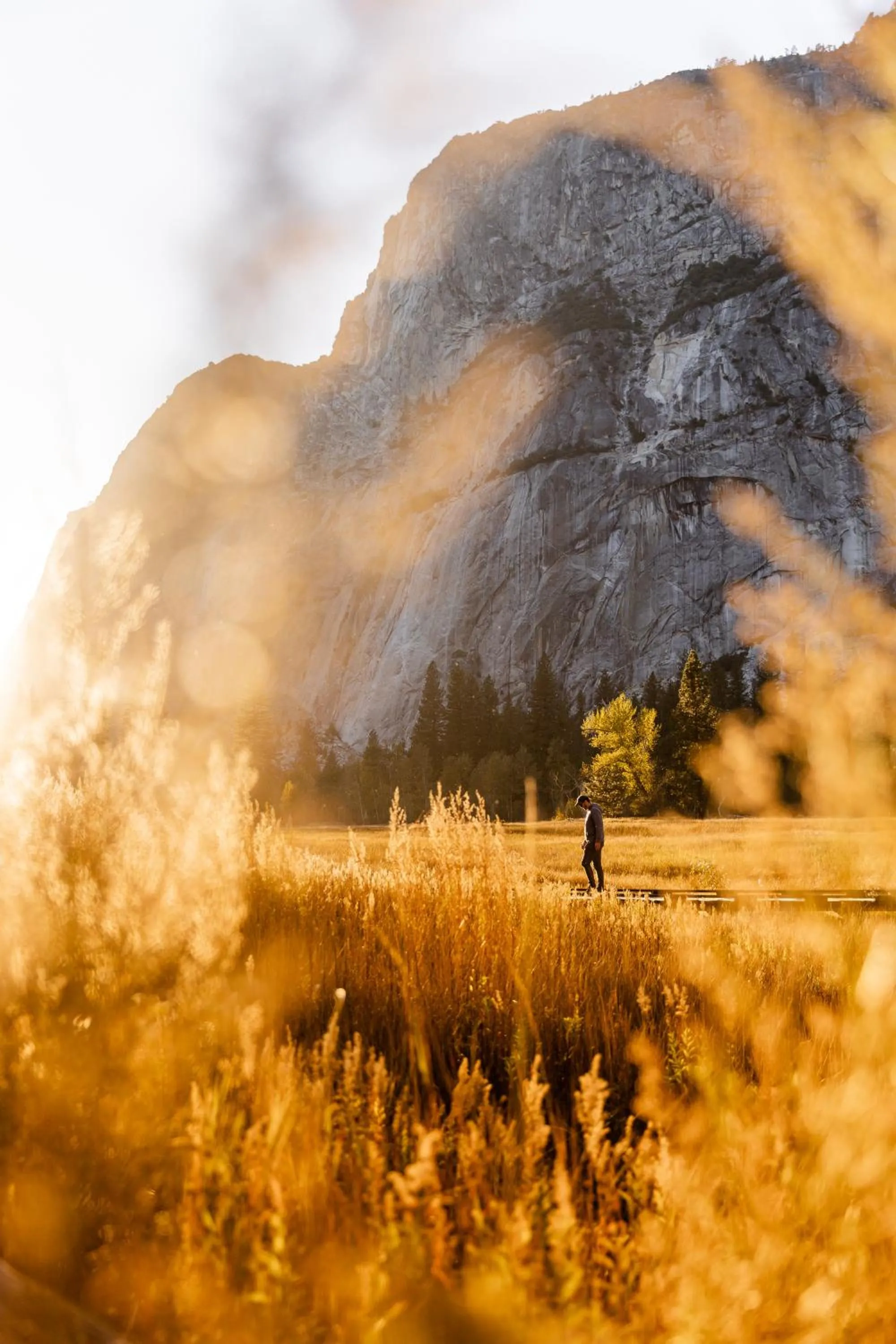 Natural landscape in Tenaya at Yosemite