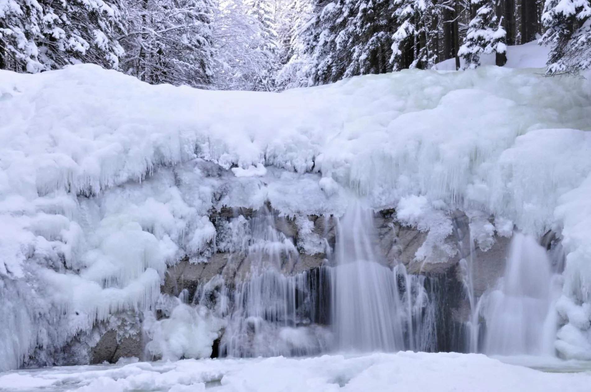 Neighbourhood in Apartmány Gryf Harrachov
