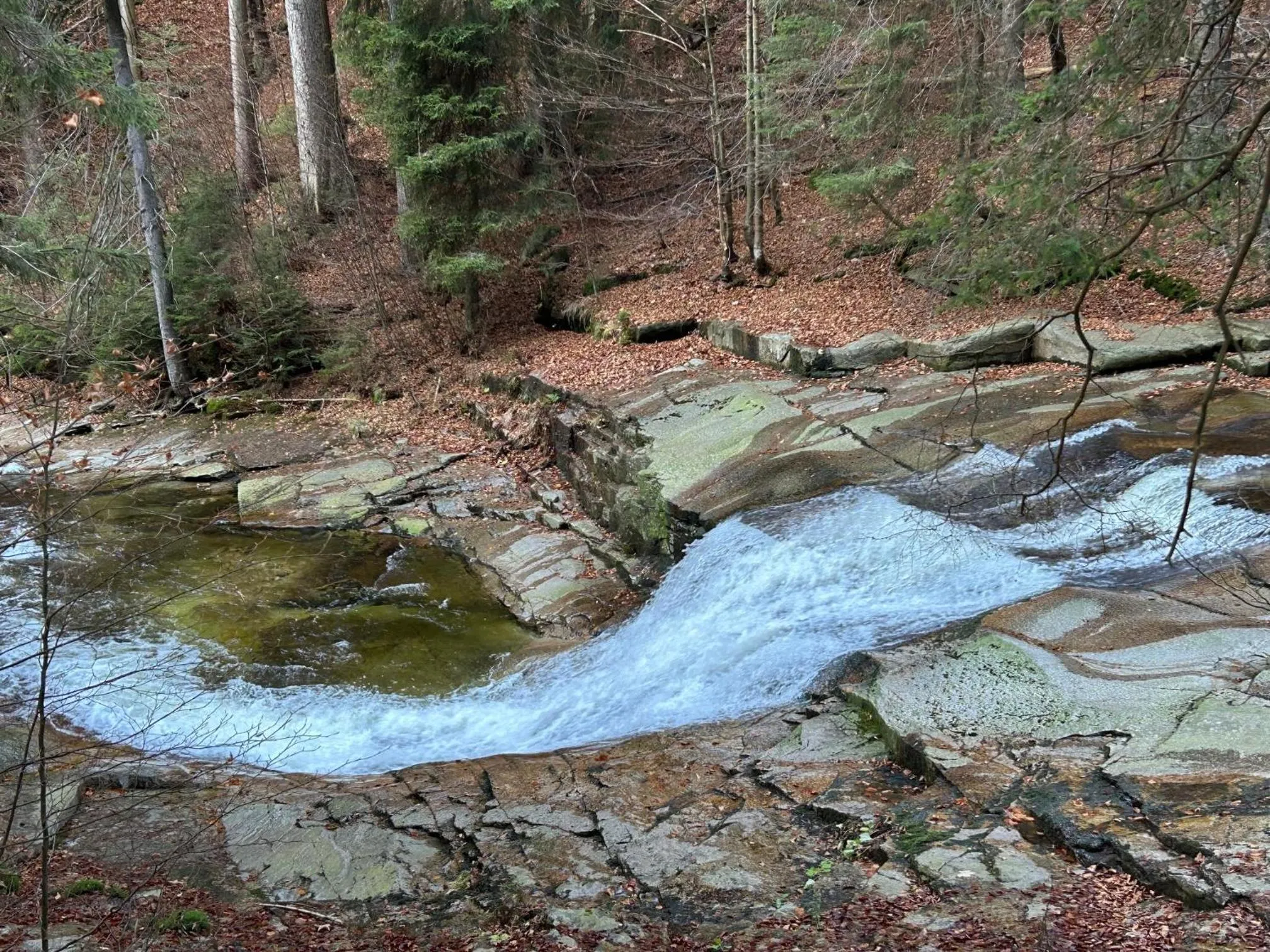 Apartmány Gryf Harrachov