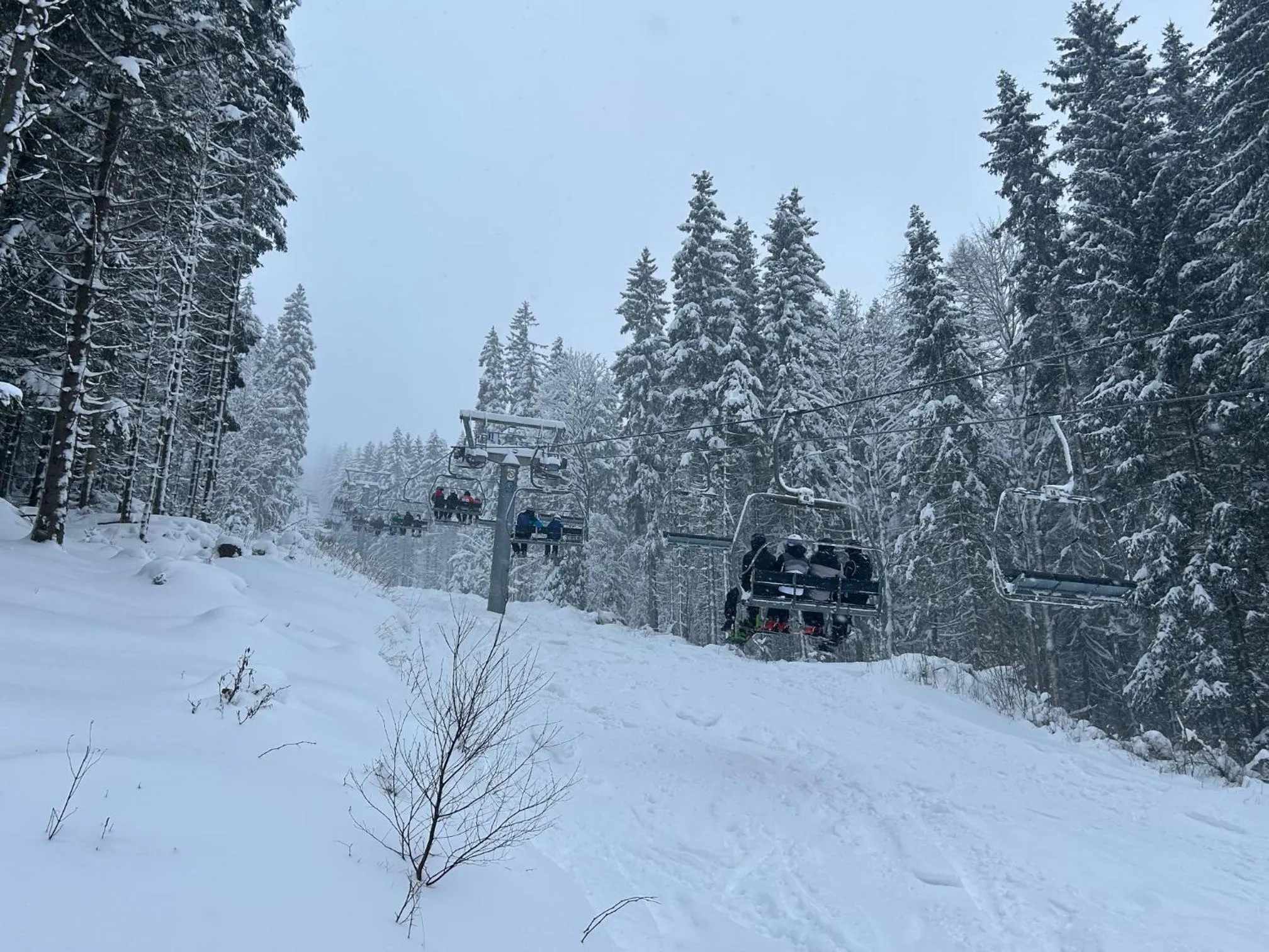 Apartmány Gryf Harrachov