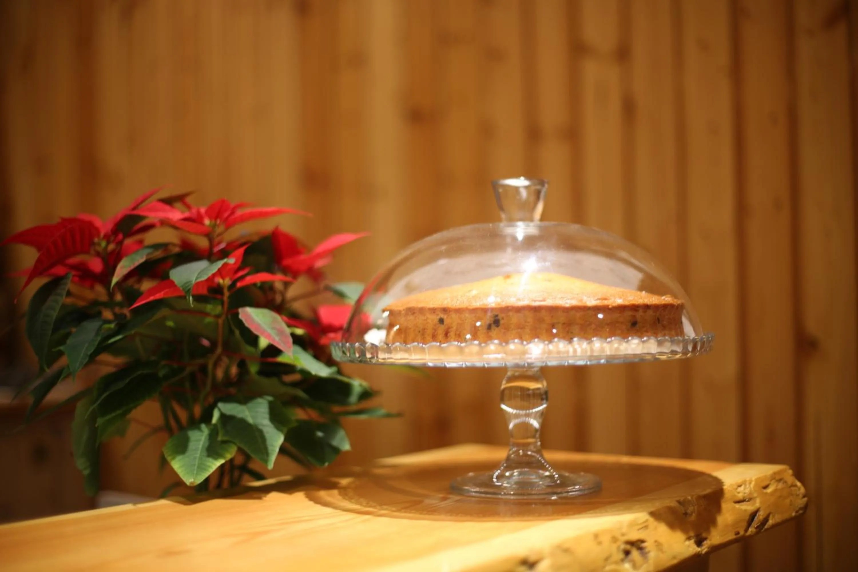 Communal lounge/ TV room in Case Vacanza Perron