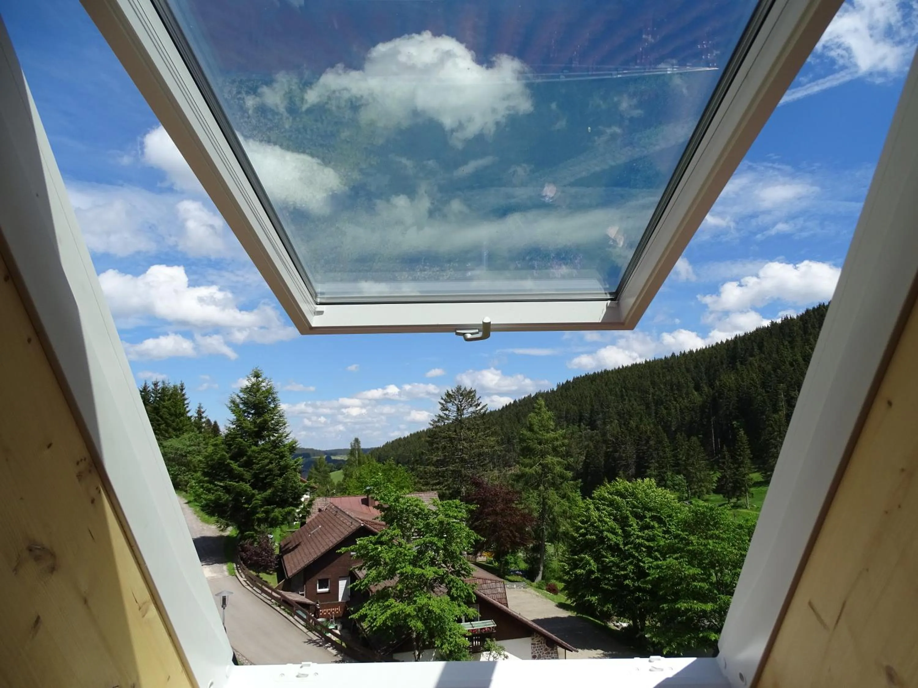 Mountain view in Schwarzwald-Hotel Kraeutle