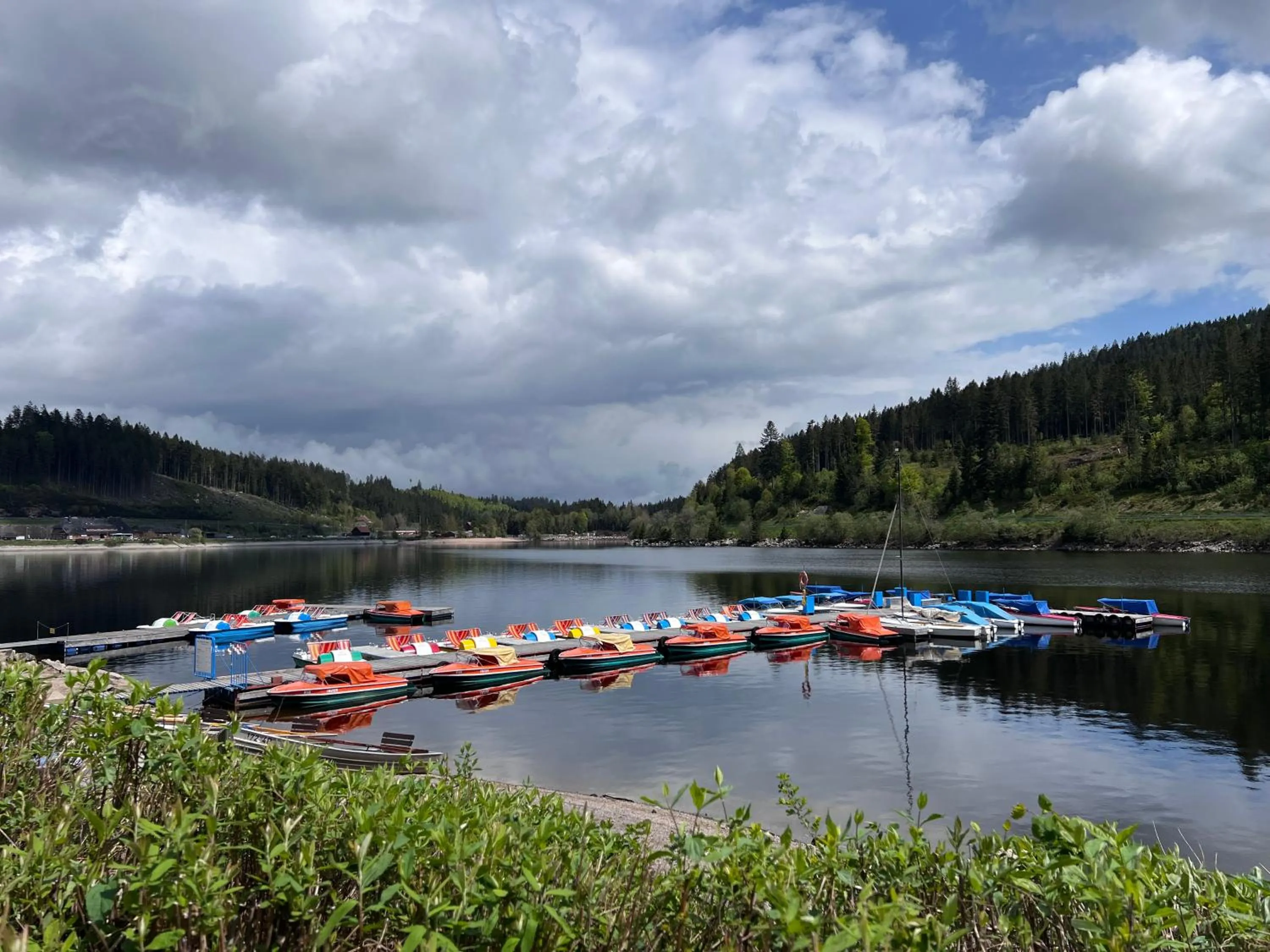 Activities in Schwarzwald-Hotel Kraeutle