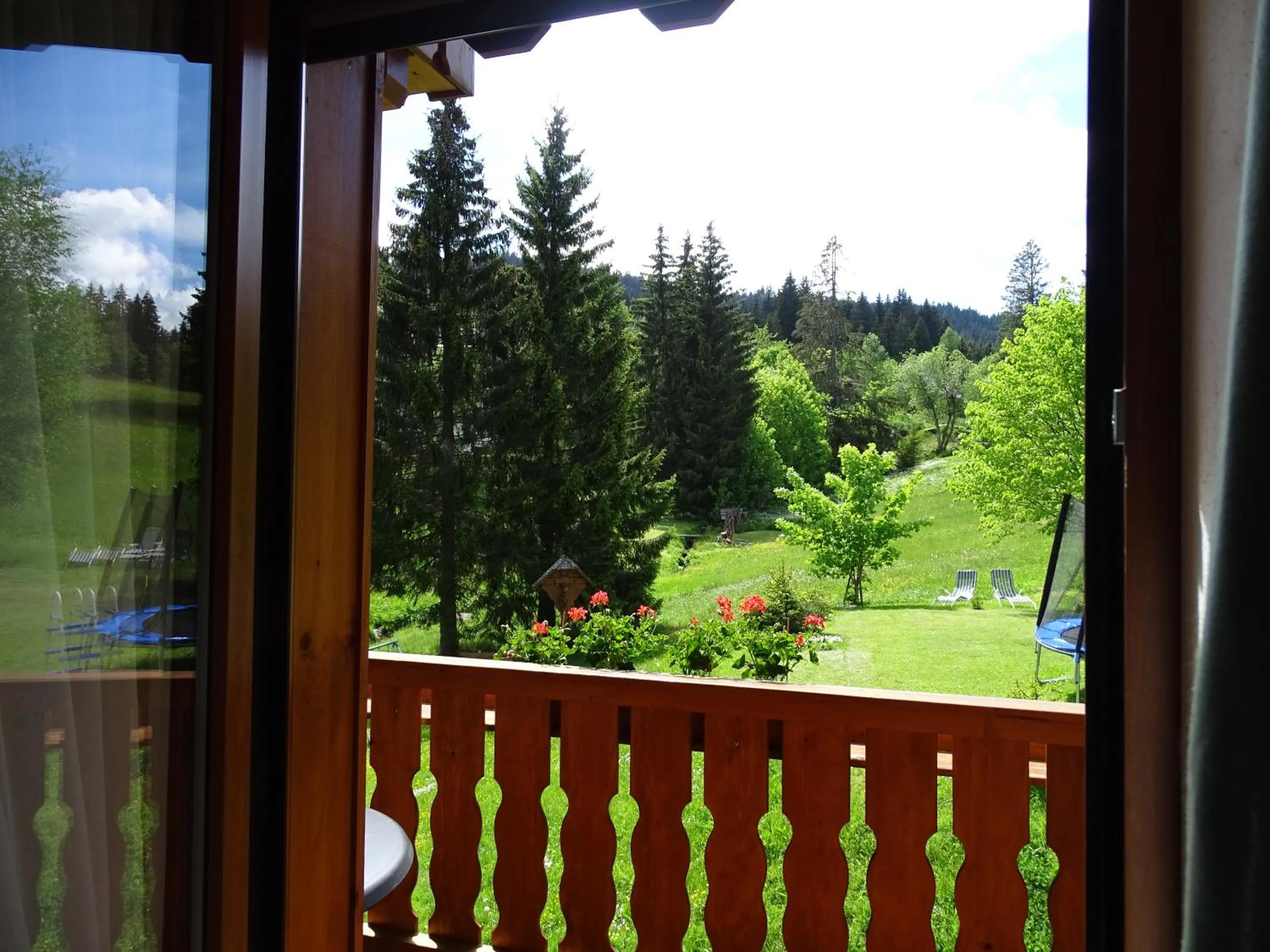 Natural landscape in Schwarzwald-Hotel Kraeutle