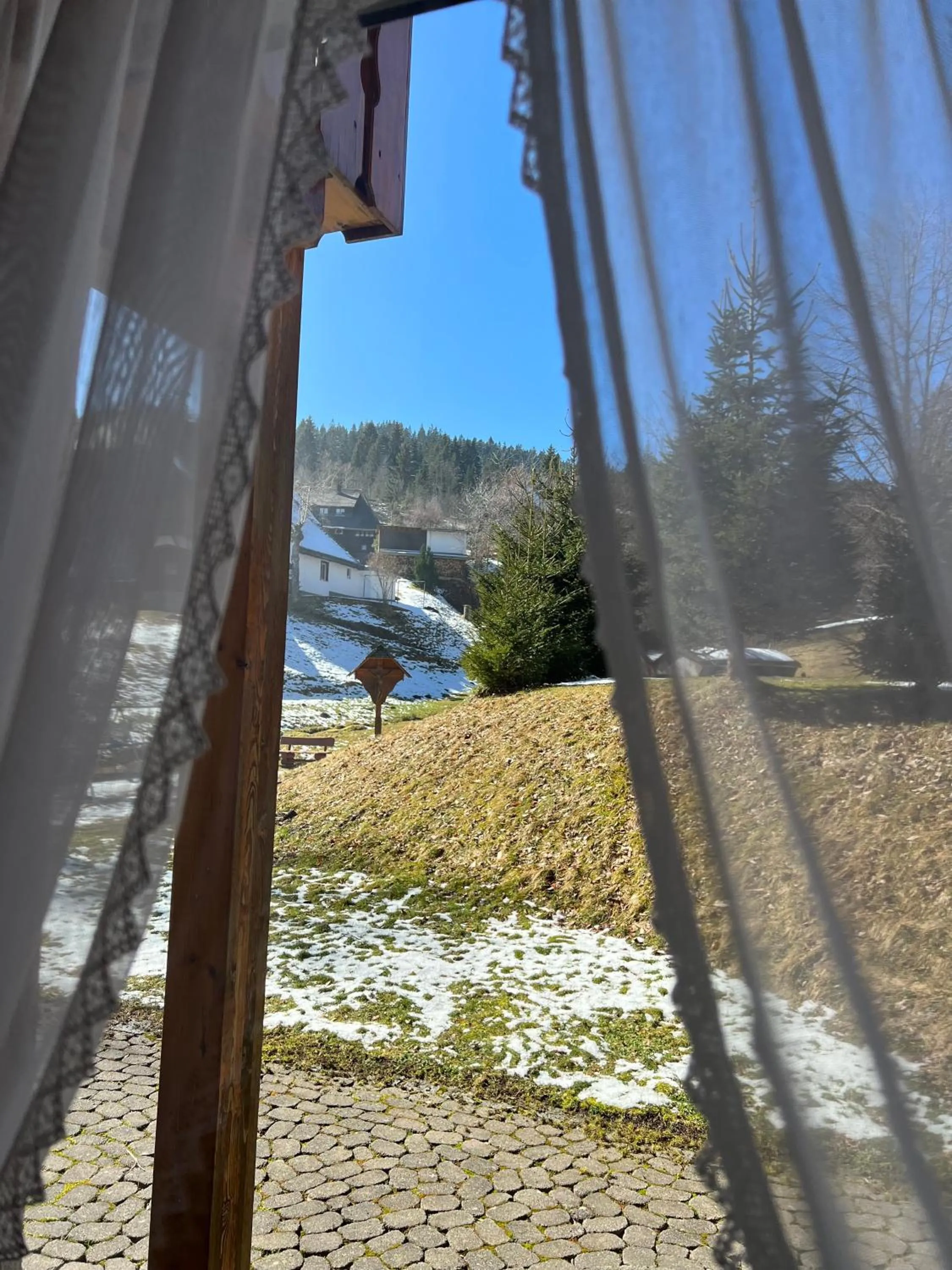 Natural landscape in Schwarzwald-Hotel Kraeutle