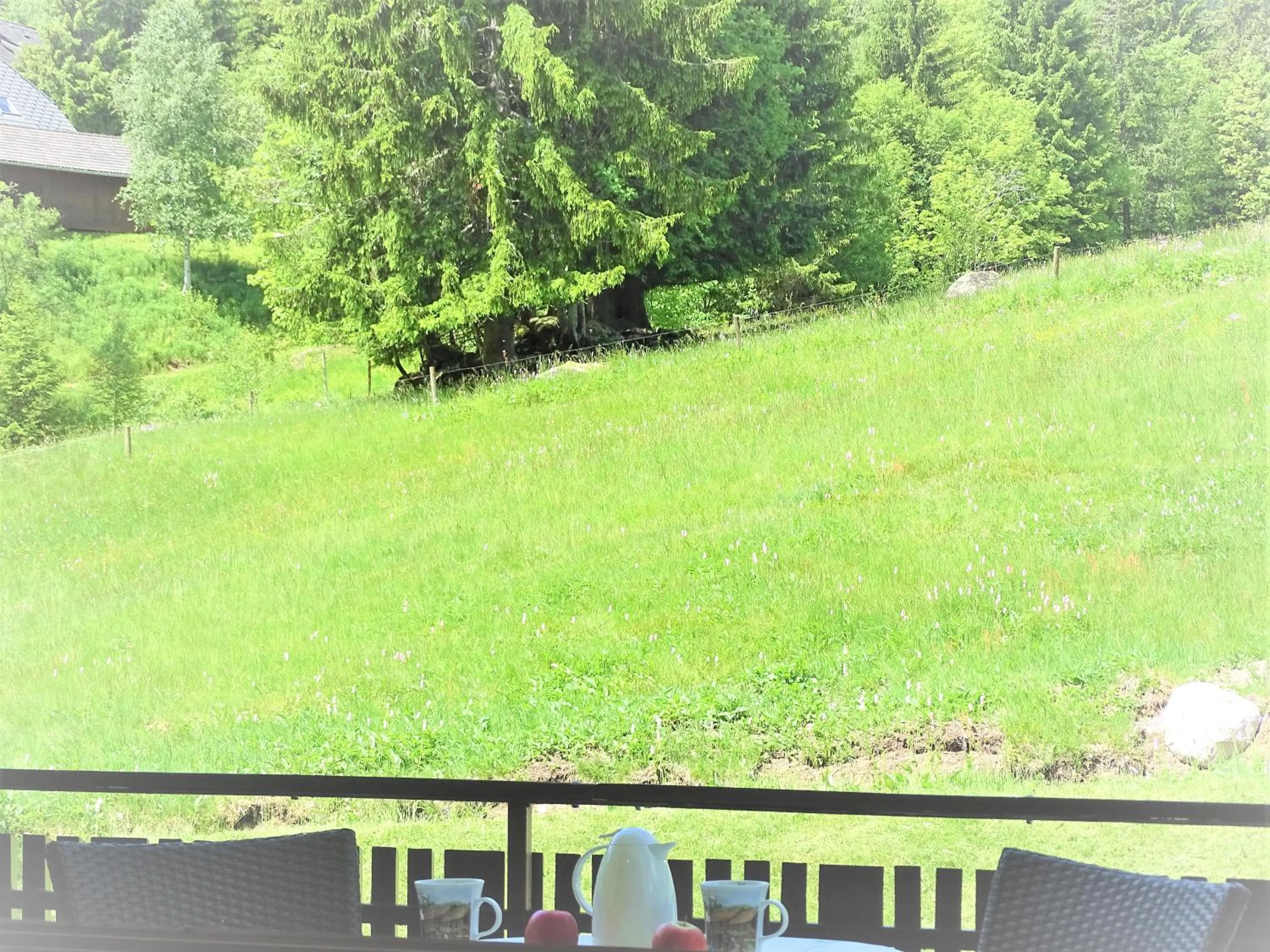 Balcony/Terrace in Schwarzwald-Hotel Kraeutle