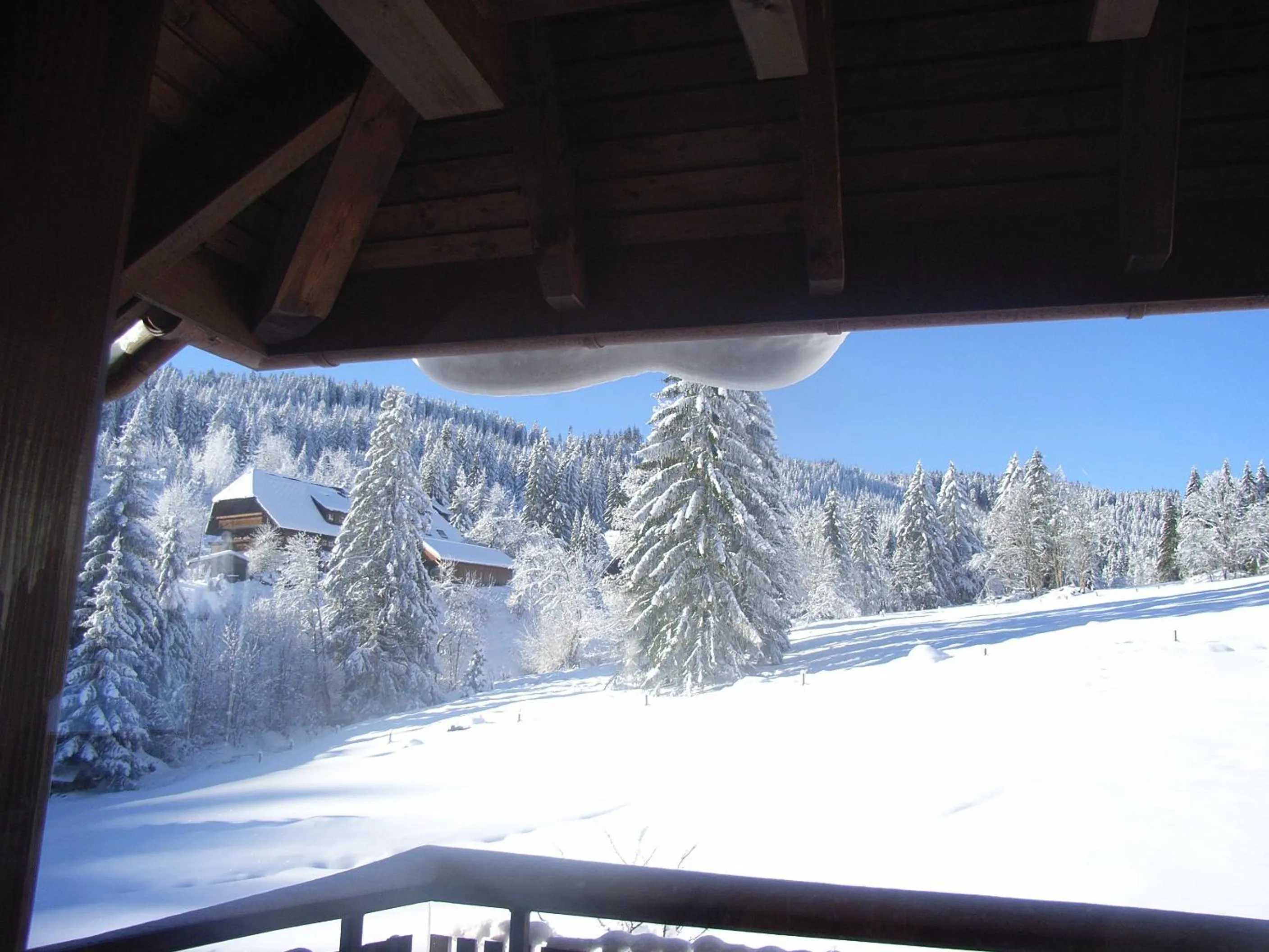Balcony/Terrace in Schwarzwald-Hotel Kraeutle