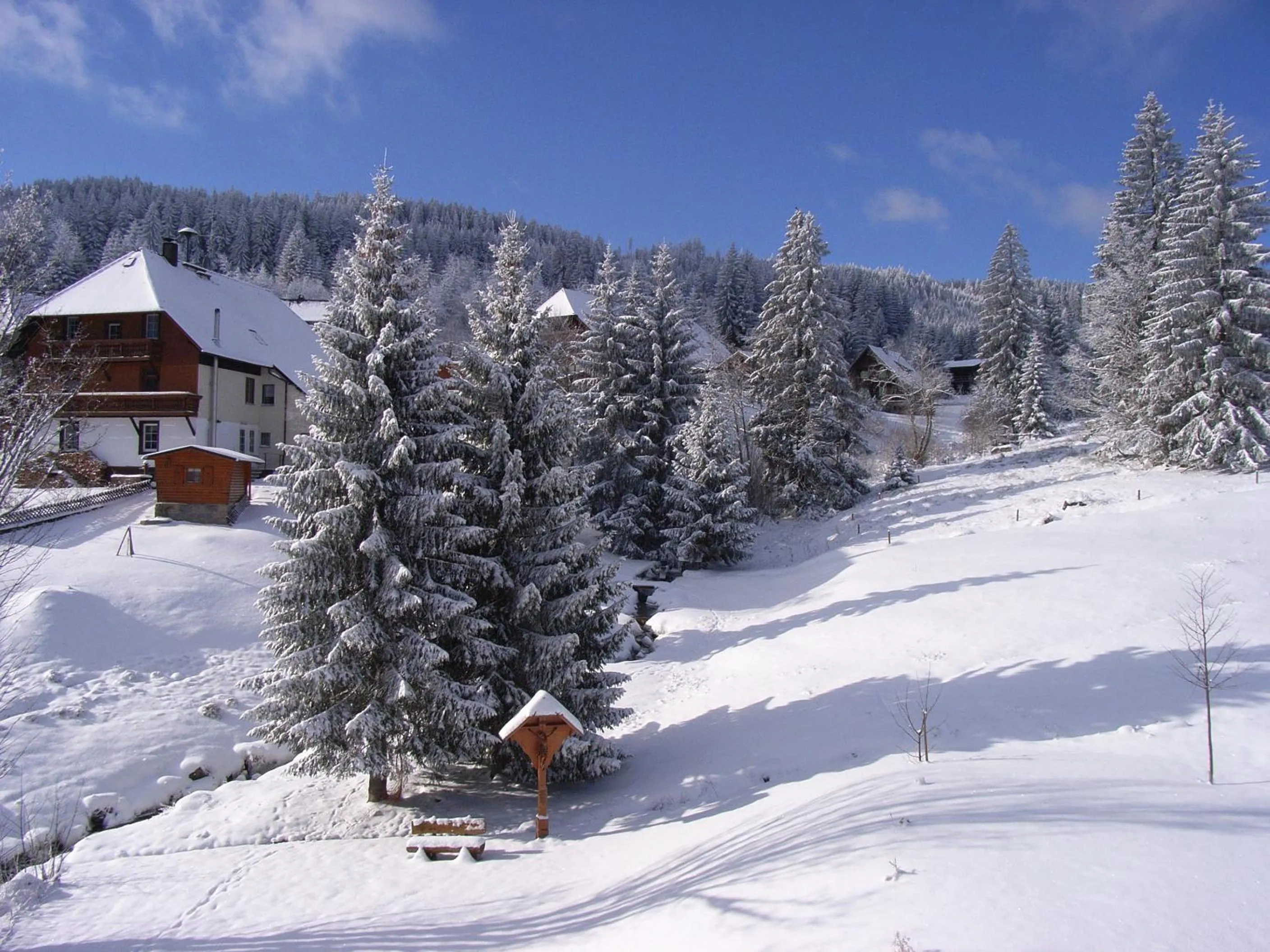Winter in Schwarzwald-Hotel Kraeutle