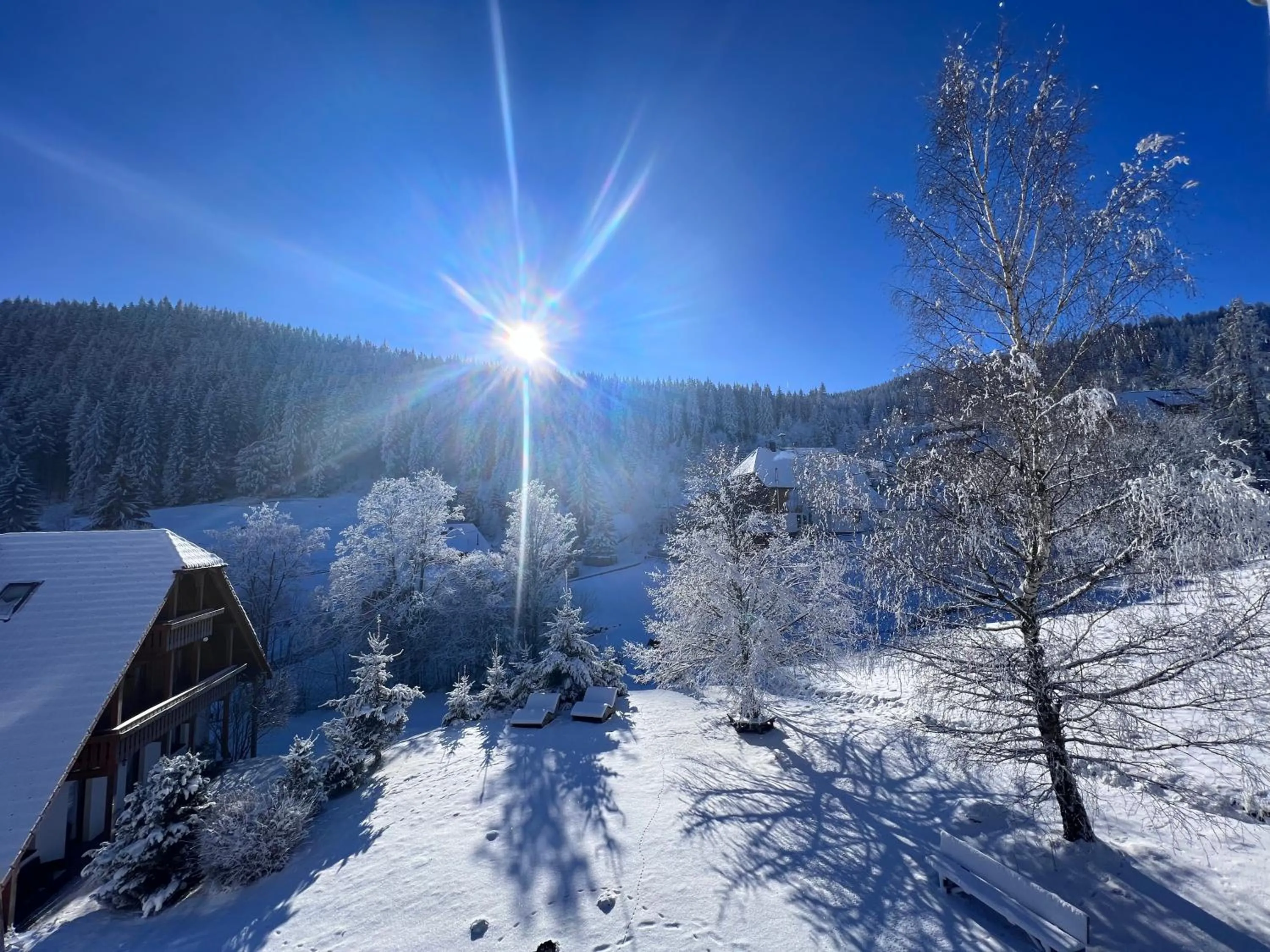 Natural landscape in Schwarzwald-Hotel Kraeutle