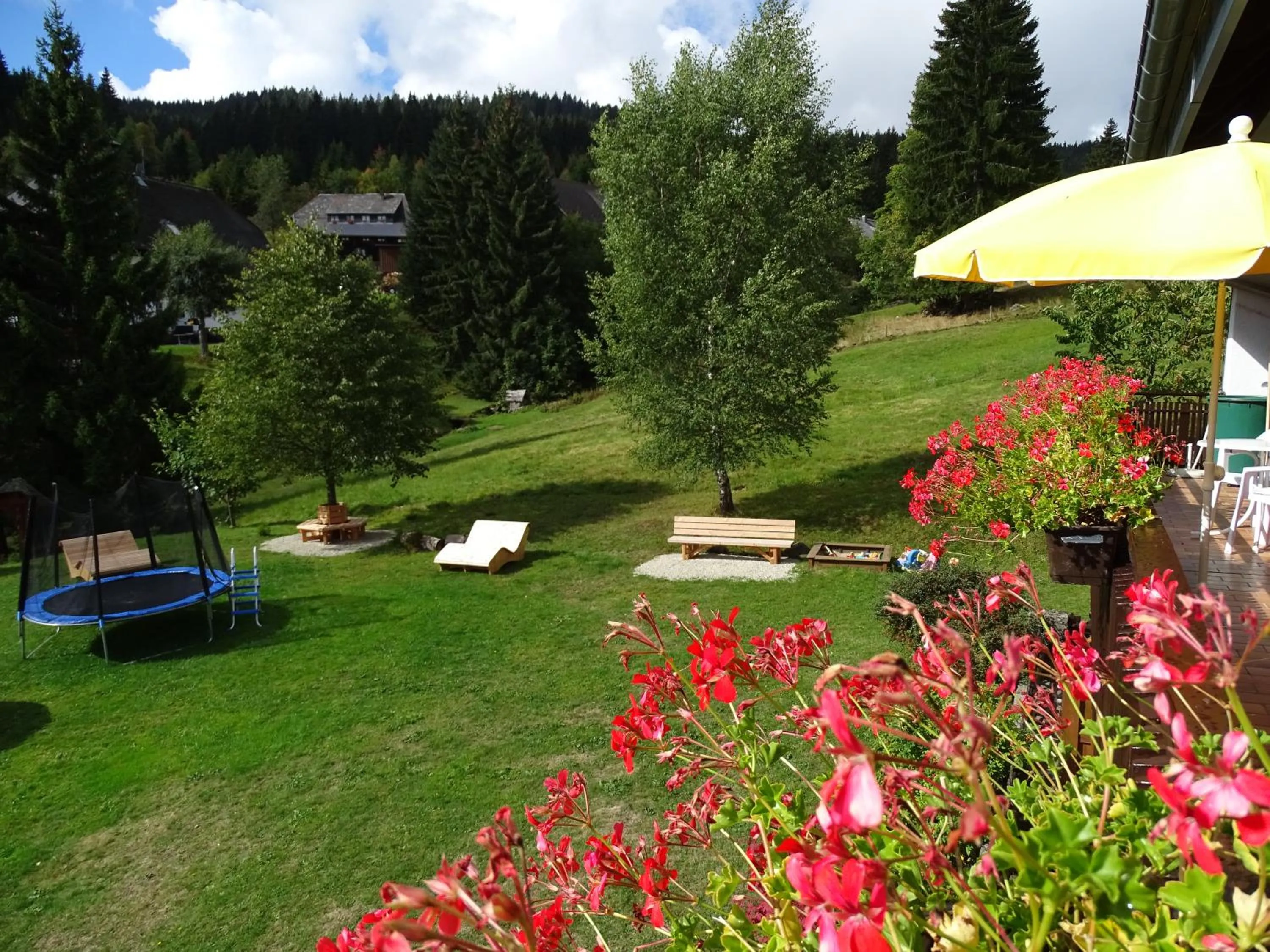 Patio in Schwarzwald-Hotel Kraeutle