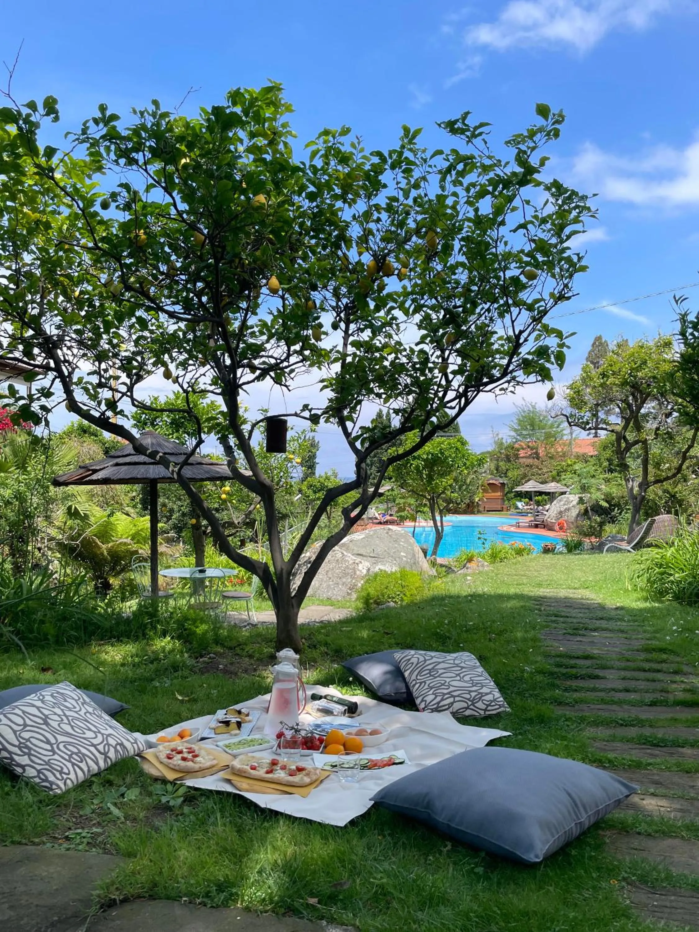 Garden in Hotel Cernia Isola Botanica