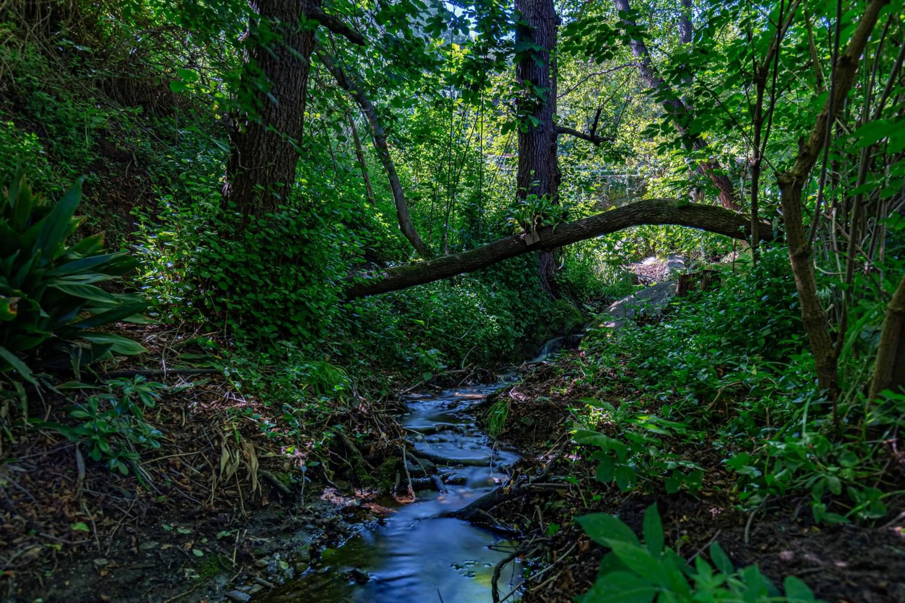 Natural landscape in Hotel Cernia Isola Botanica