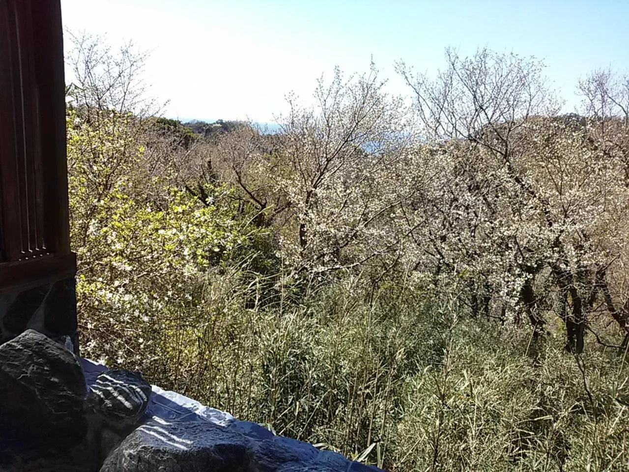 Other in Koibito Misaki Pension Marine Mates