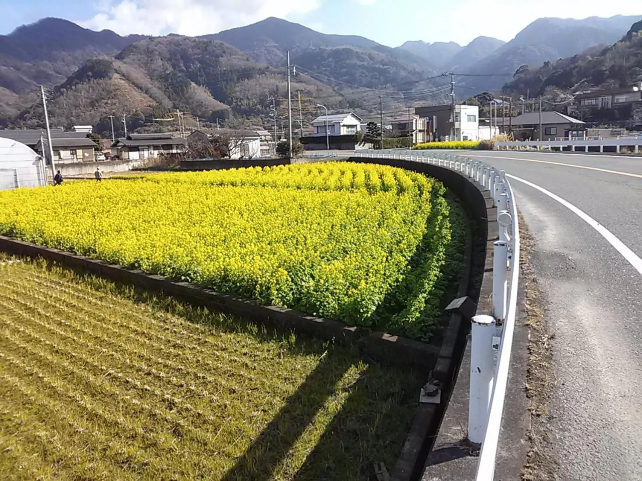 Spring in Koibito Misaki Pension Marine Mates