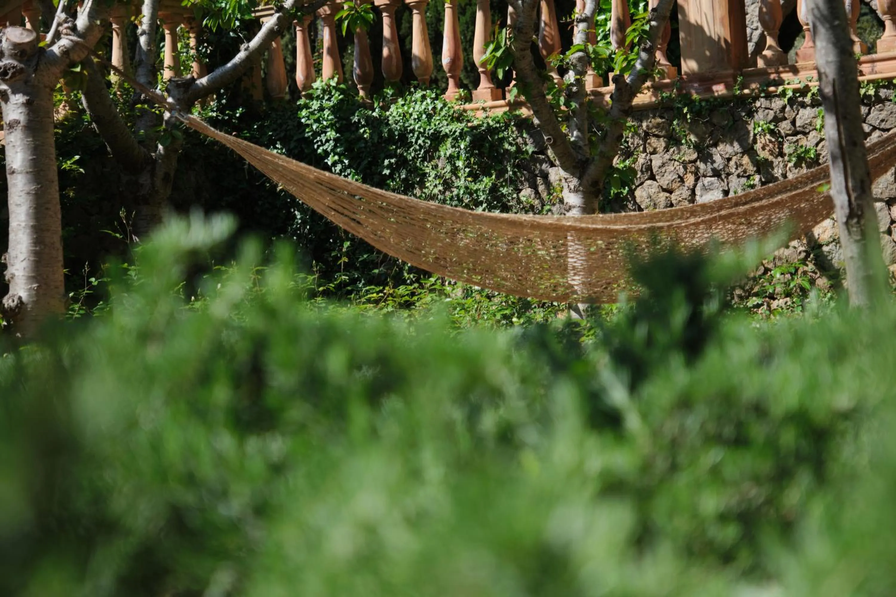 Garden in Valldemossa Hotel