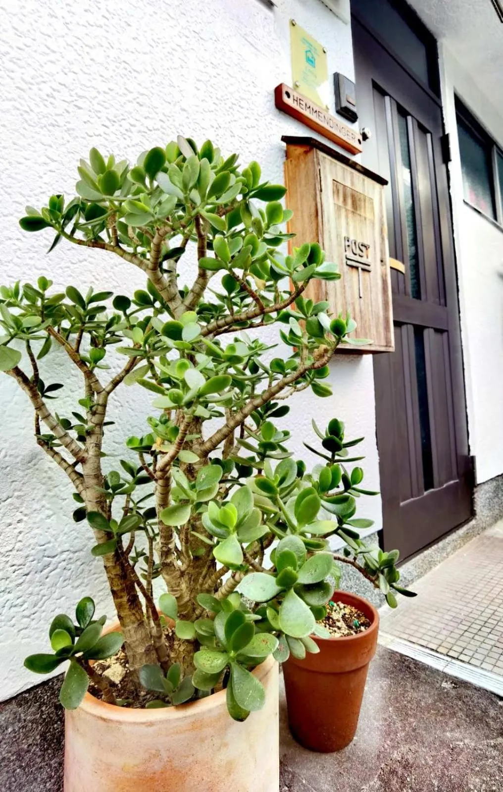 Property building in Bighem Maison