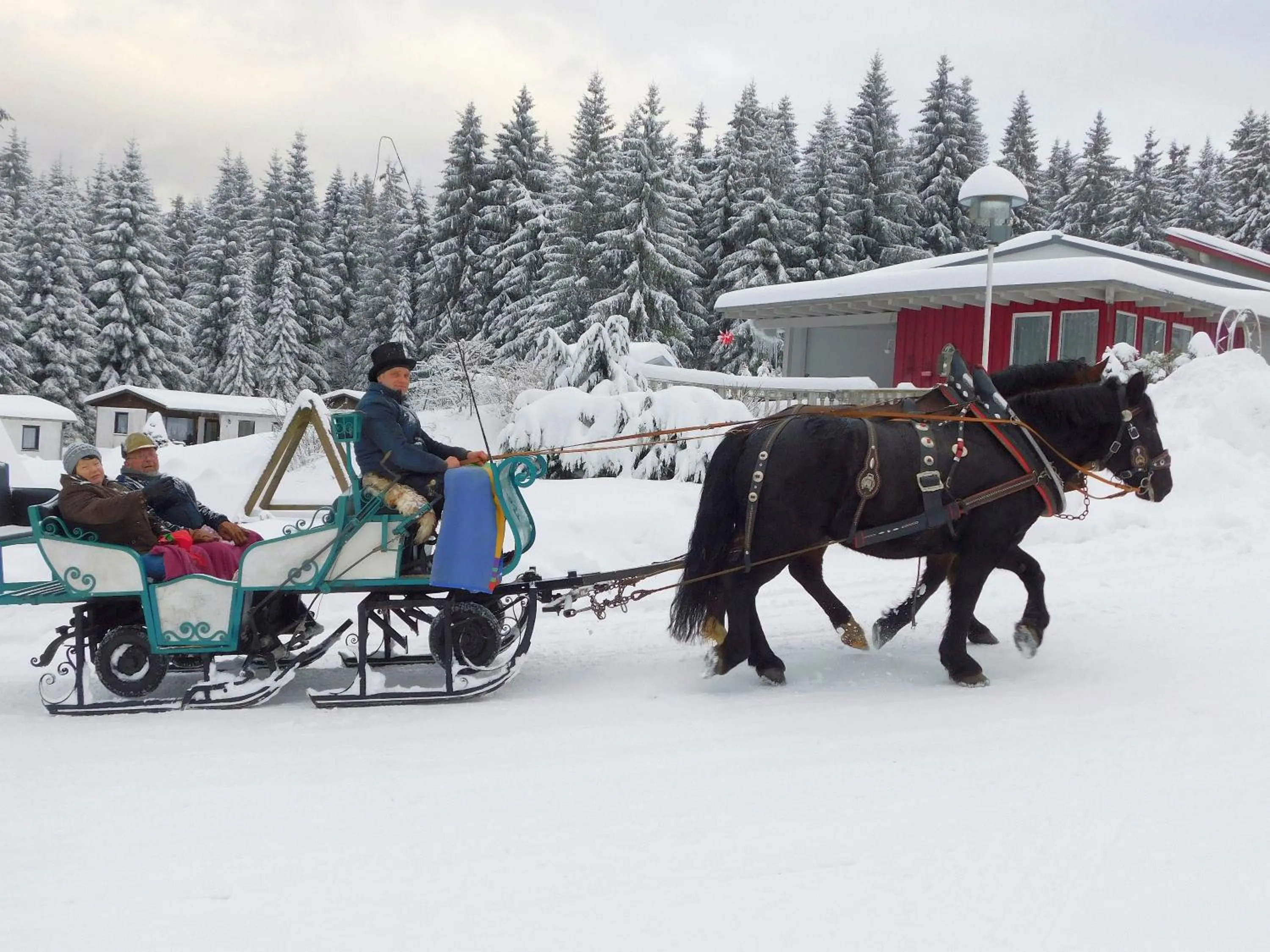 Patio in Waldhotel Rennsteighöhe