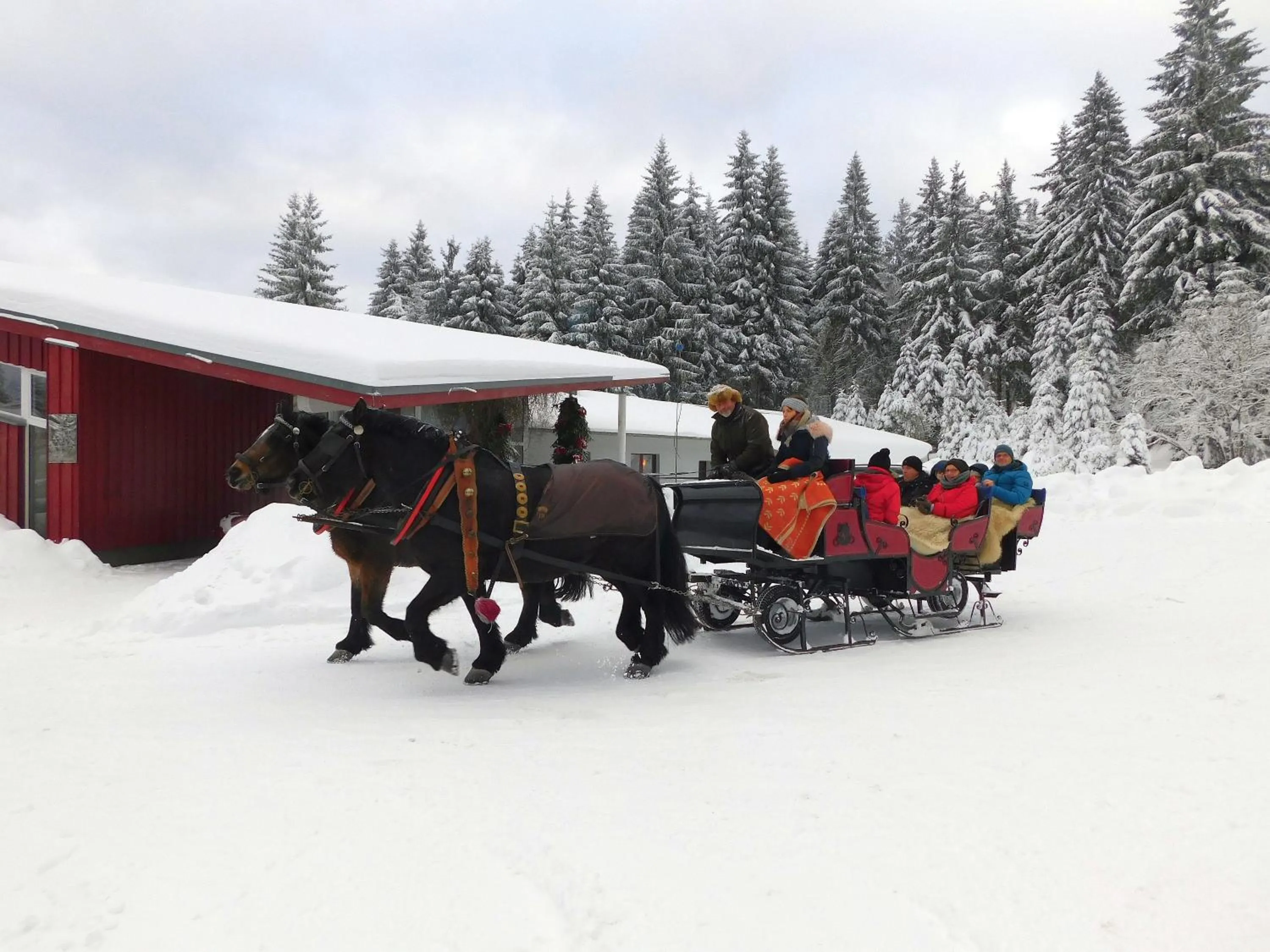 Day in Waldhotel Rennsteighöhe