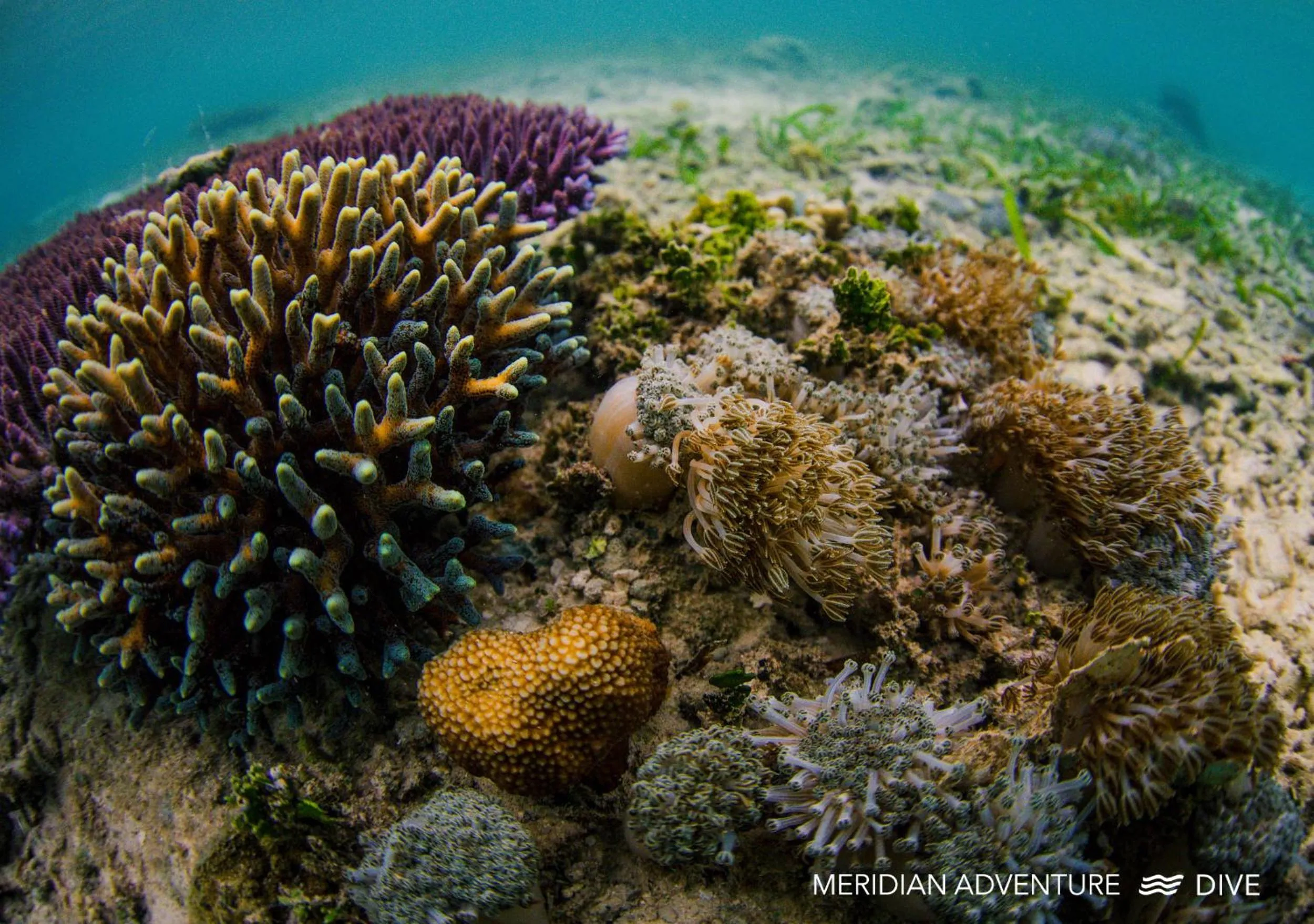 Activities in Meridian Adventure Marina Club & Resort