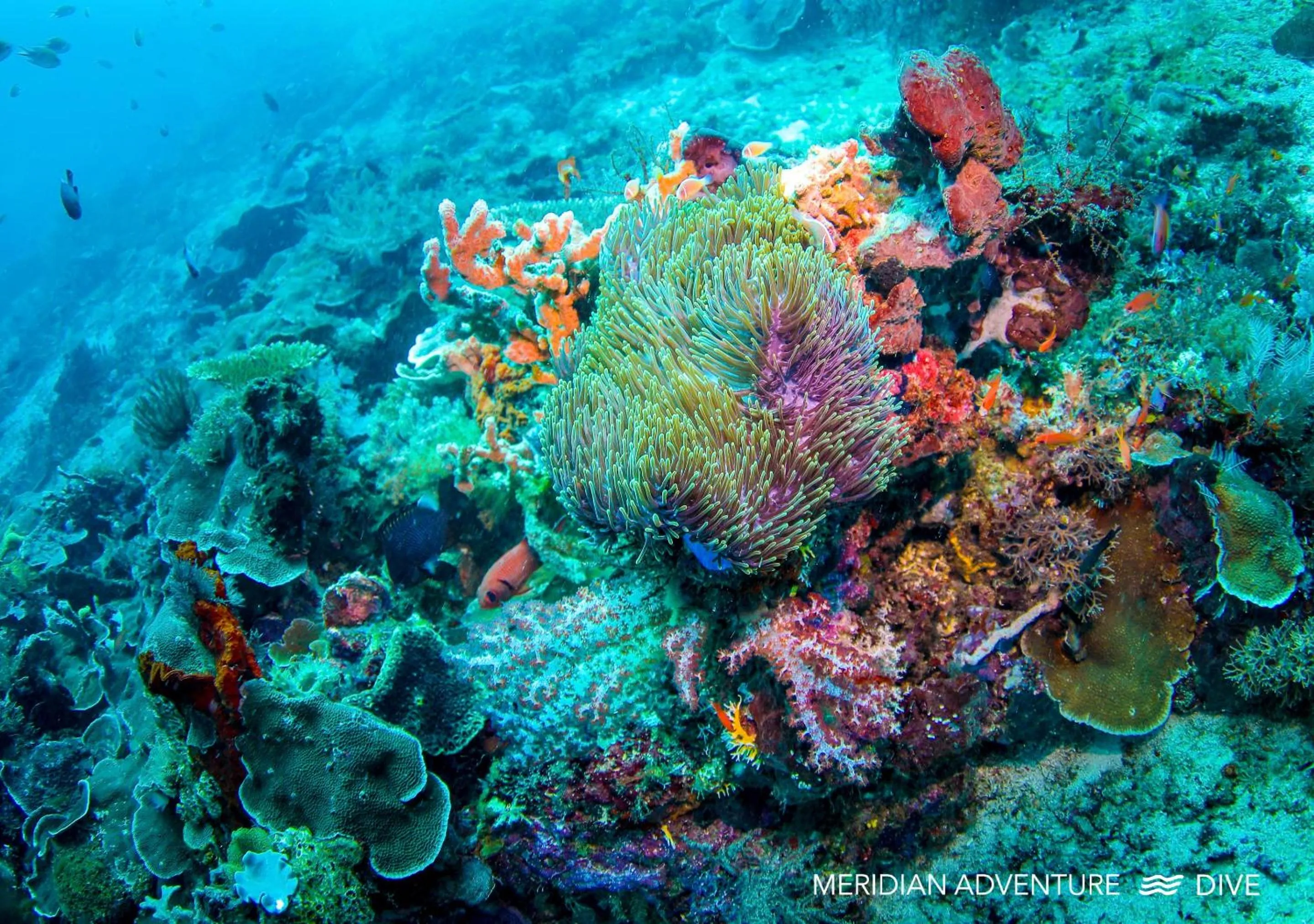 Natural landscape in Meridian Adventure Marina Club & Resort