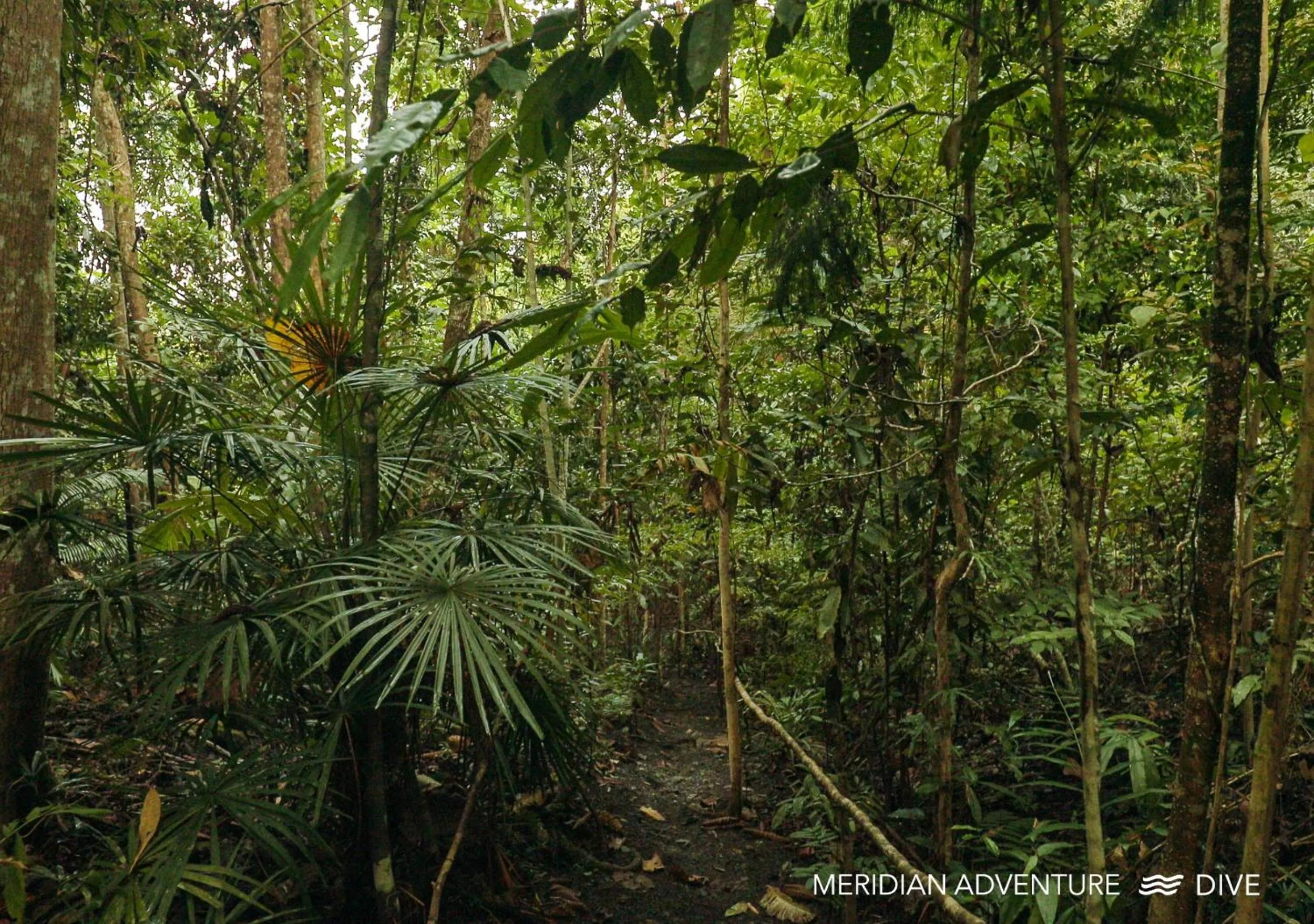 Off site in Meridian Adventure Marina Club & Resort