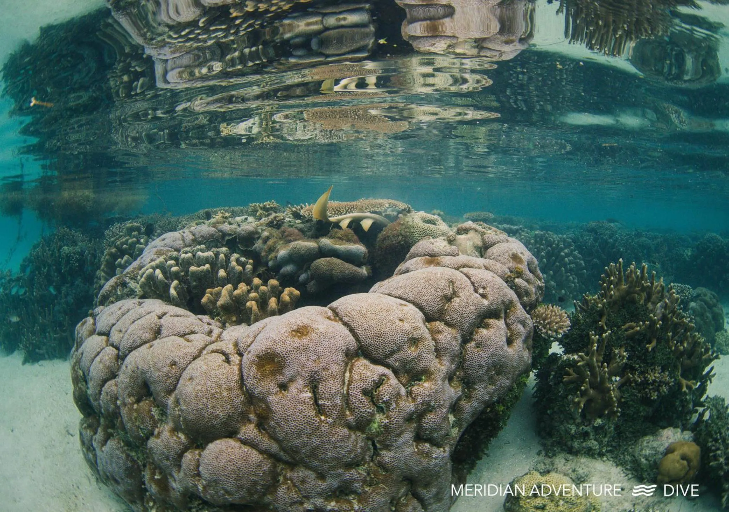 Activities in Meridian Adventure Marina Club & Resort