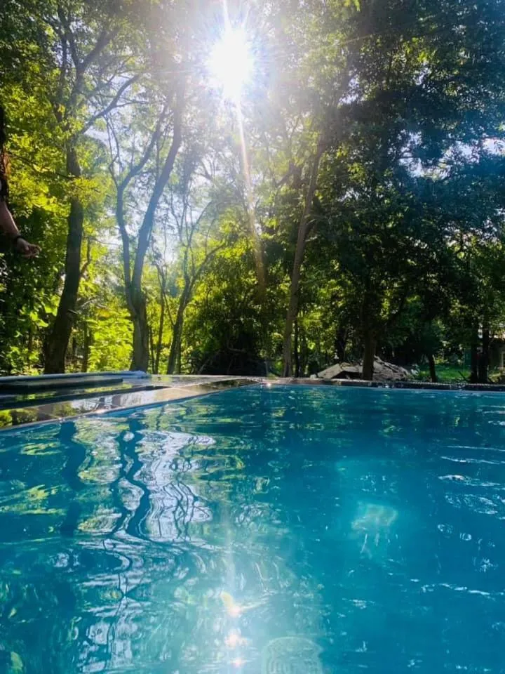 Swimming pool in Wildescape Polonnaruwa