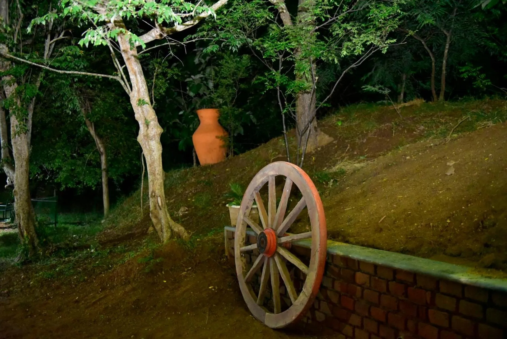 Natural landscape in Wildescape Polonnaruwa