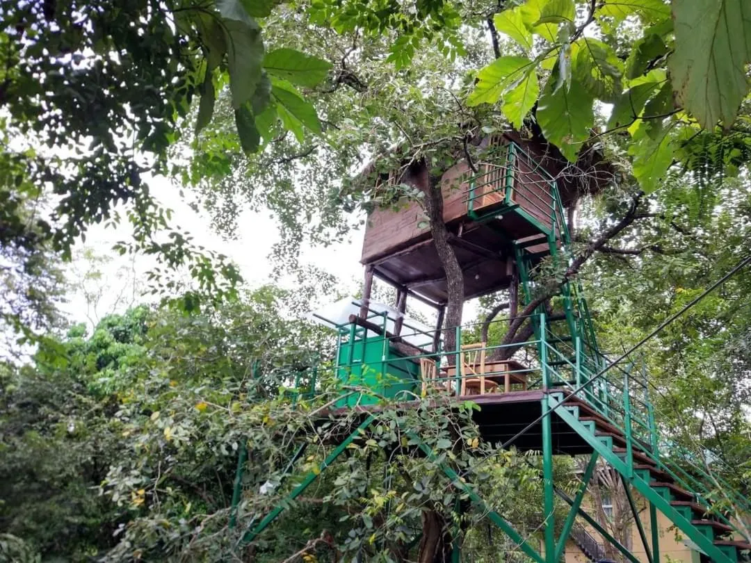Natural landscape in Wildescape Polonnaruwa