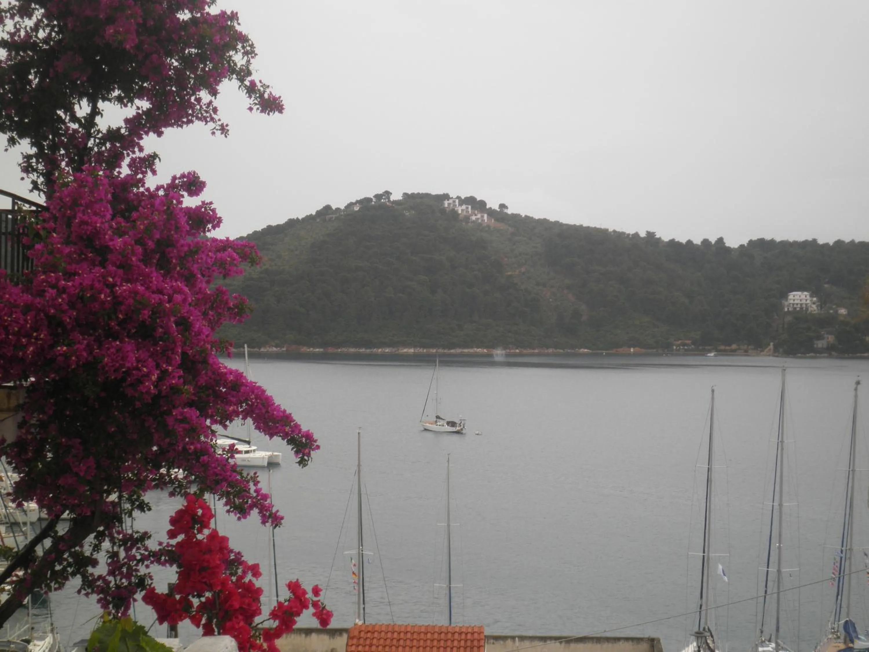 View (from property/room) in Babis