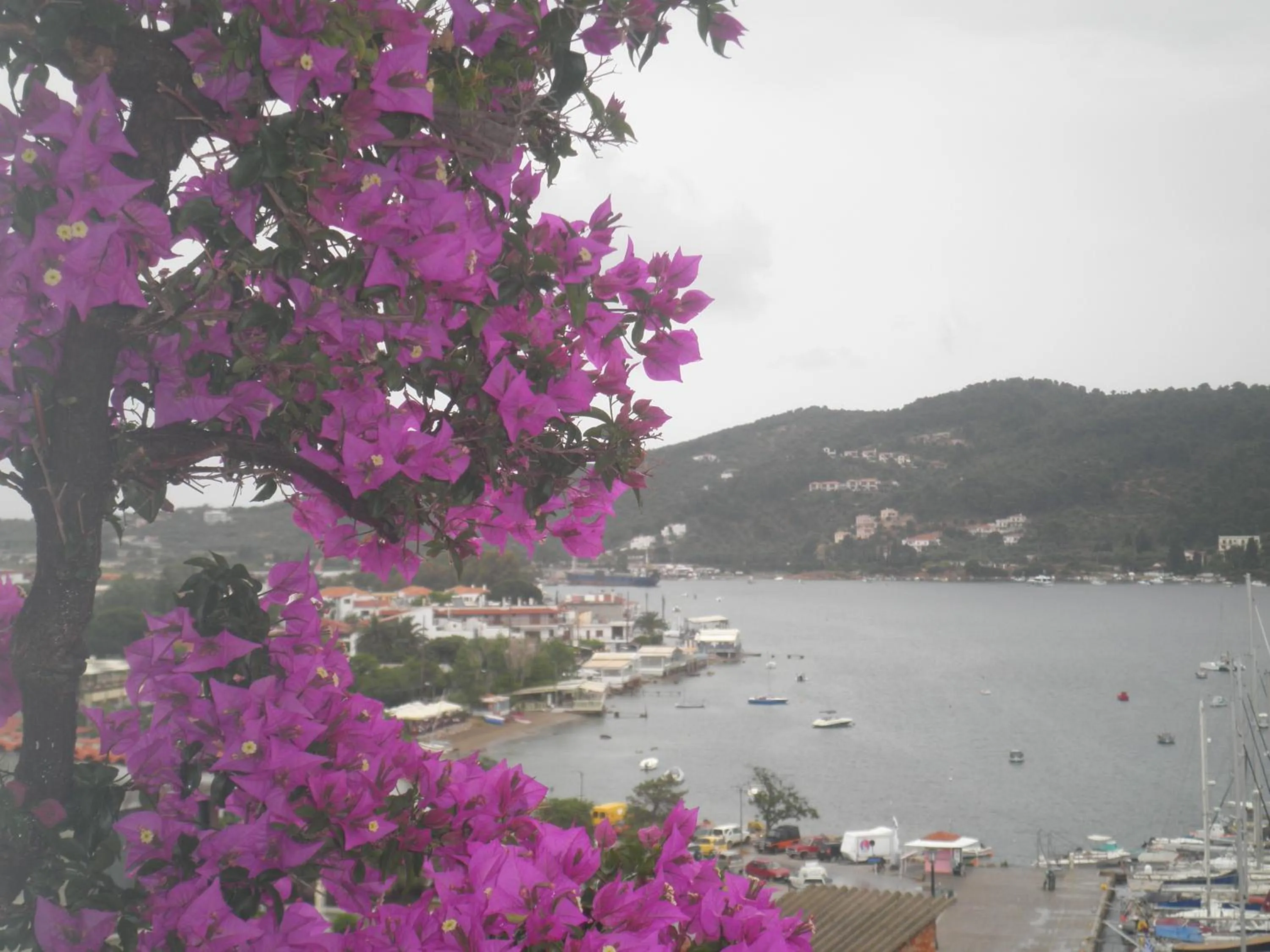 View (from property/room) in Babis