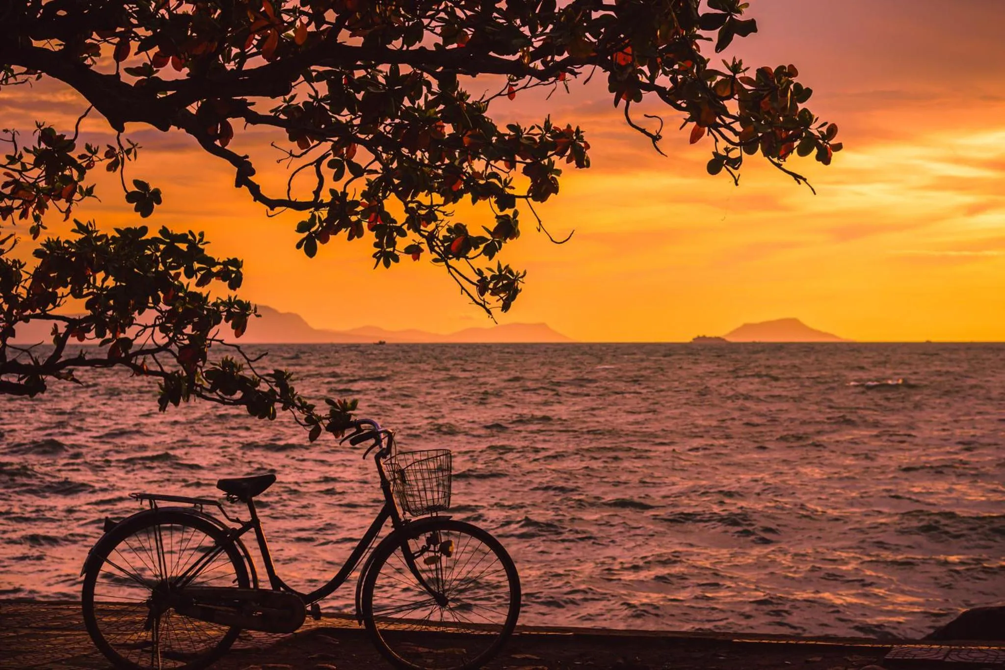 Beach in Riviera Hotel & Resort Kep