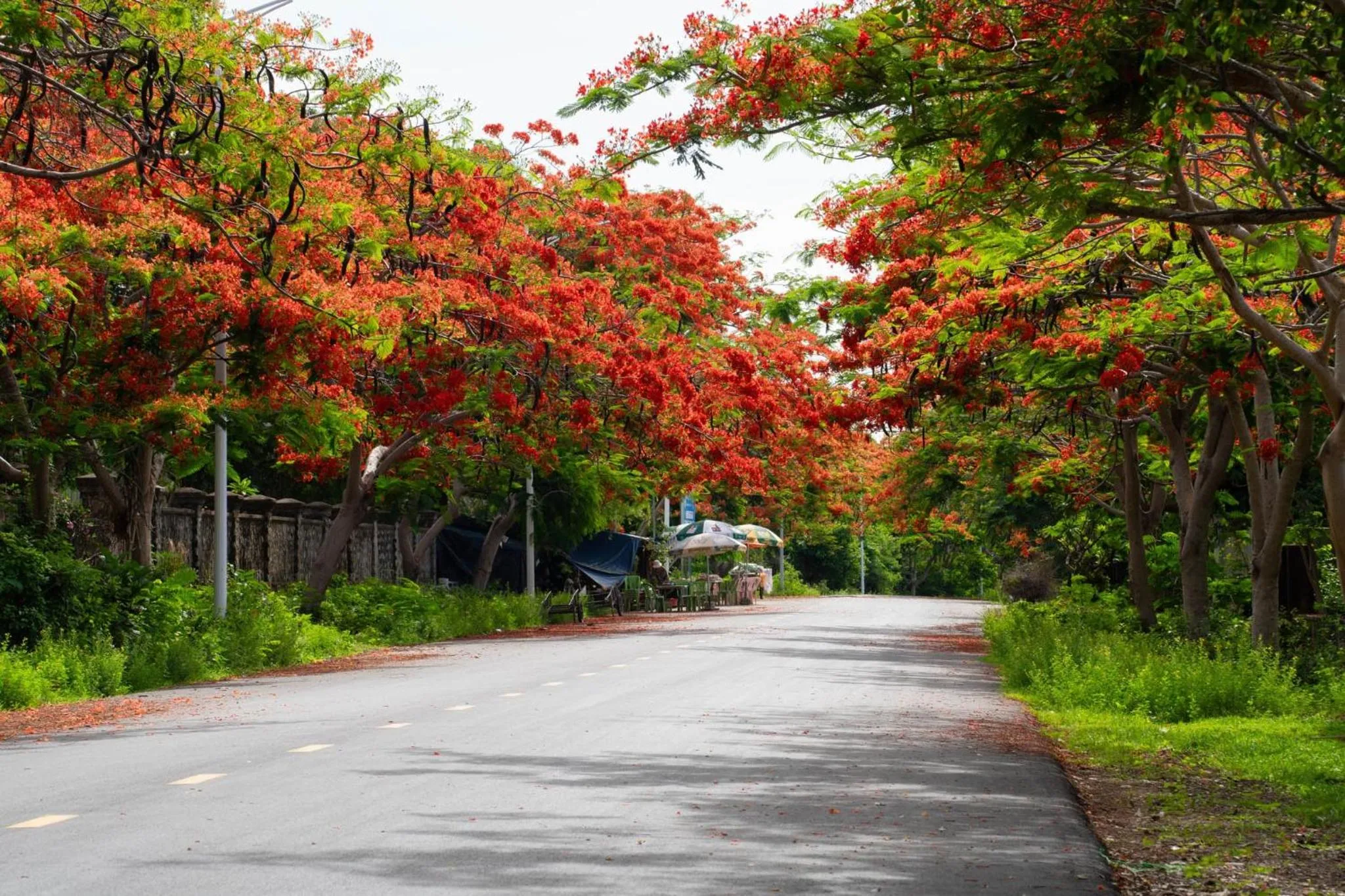 Neighbourhood in Riviera Hotel & Resort Kep