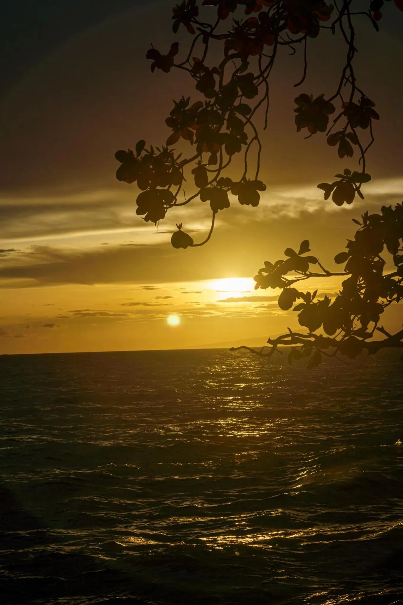 Beach in Riviera Hotel & Resort Kep