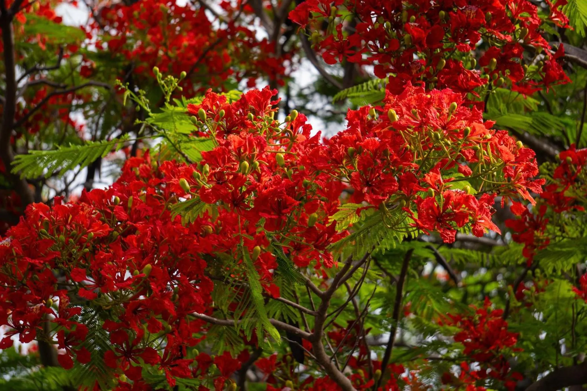 Day in Riviera Hotel & Resort Kep