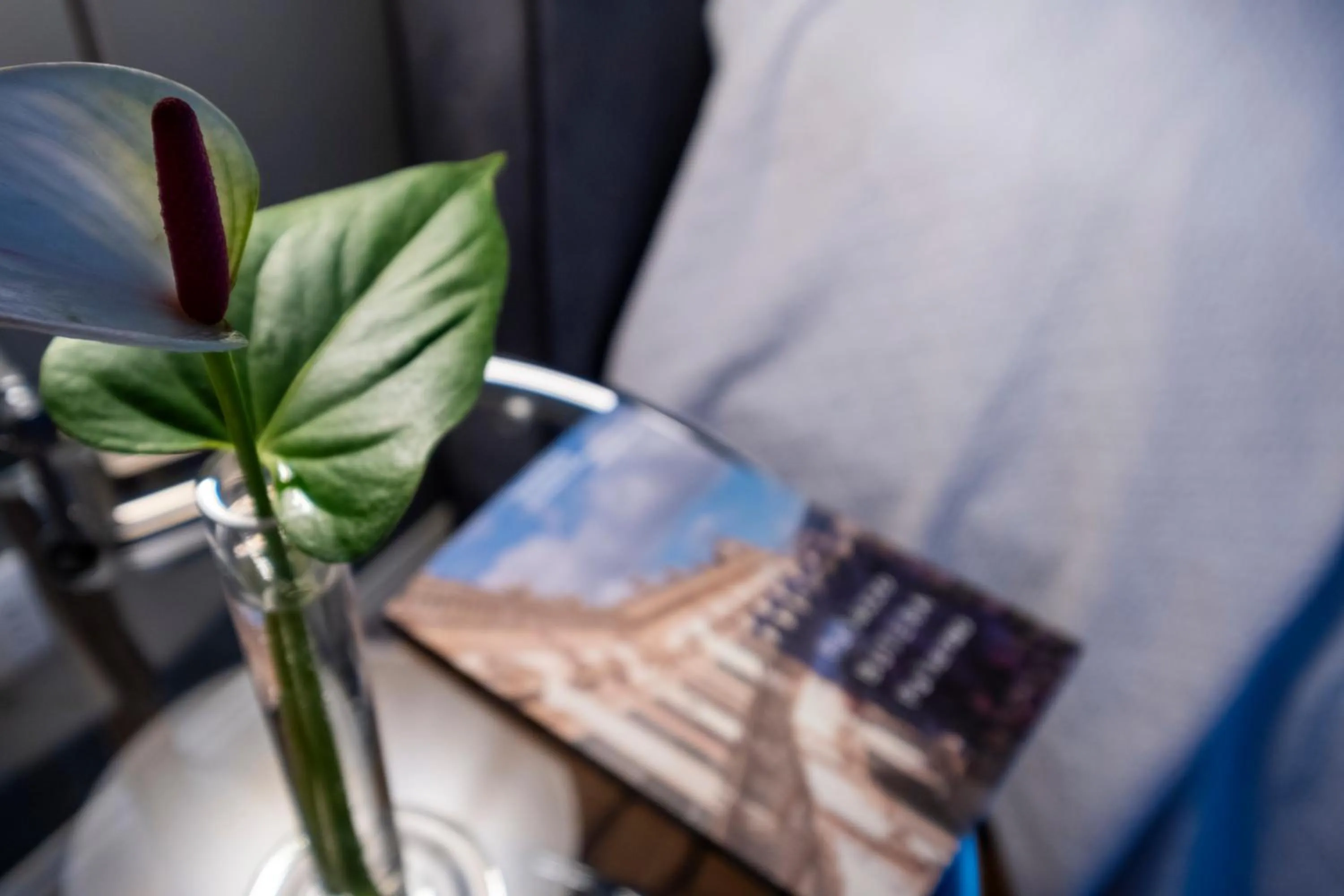 Bed in BB 22 Charming Rooms & Apartments