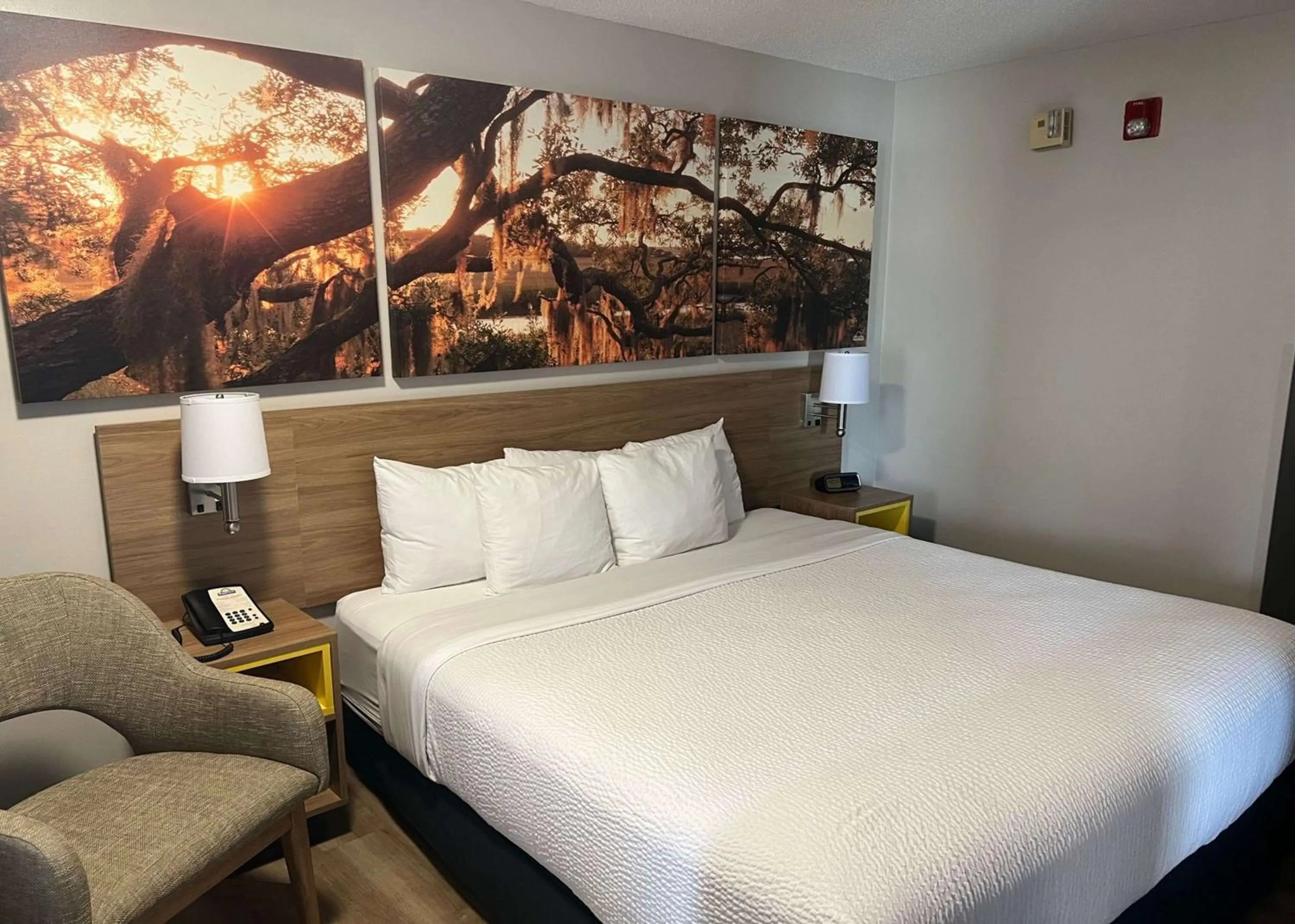 Photo of the whole room, Bed in Days Inn by Wyndham Valdosta I-75