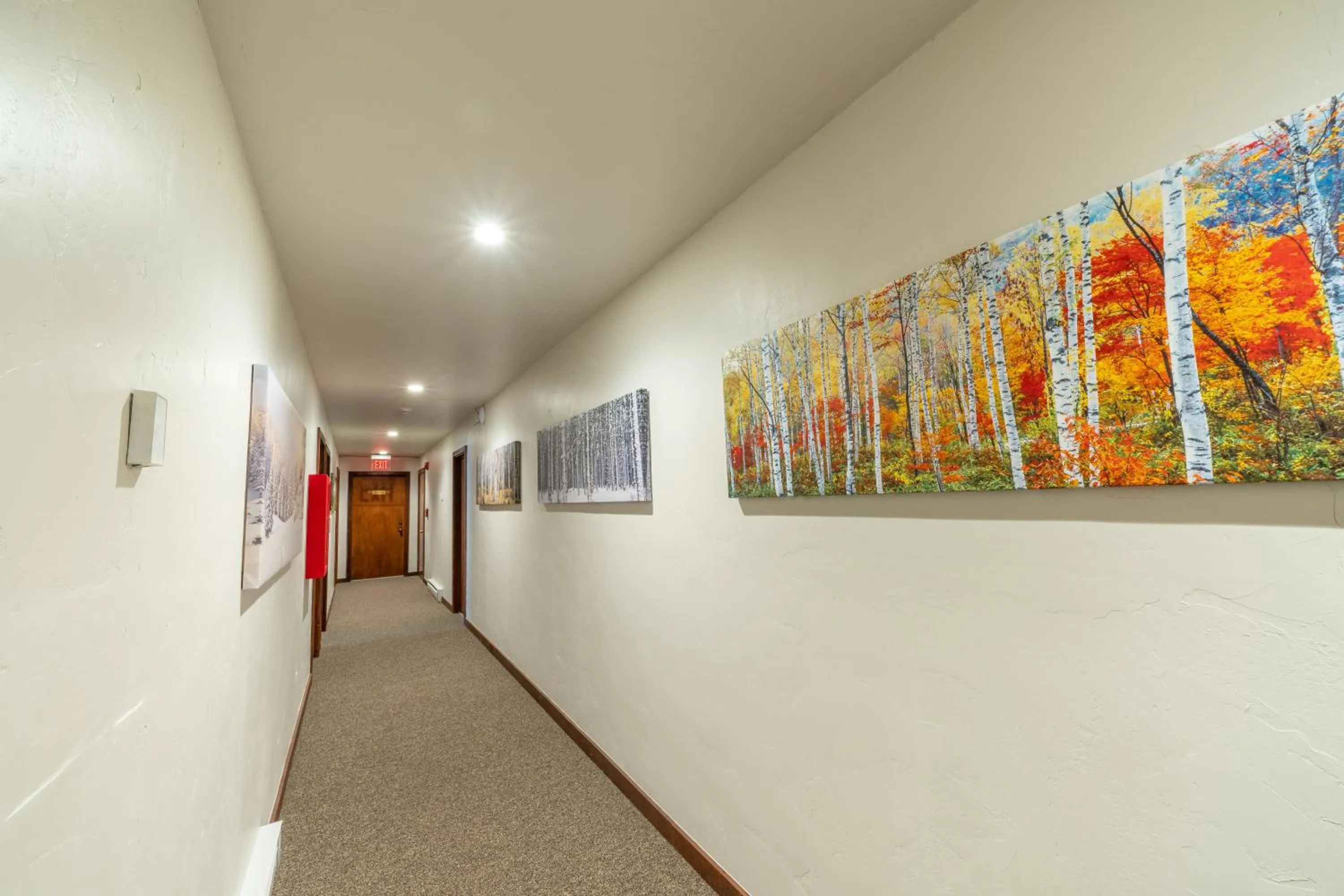 Property building in Pokolodi Lodge