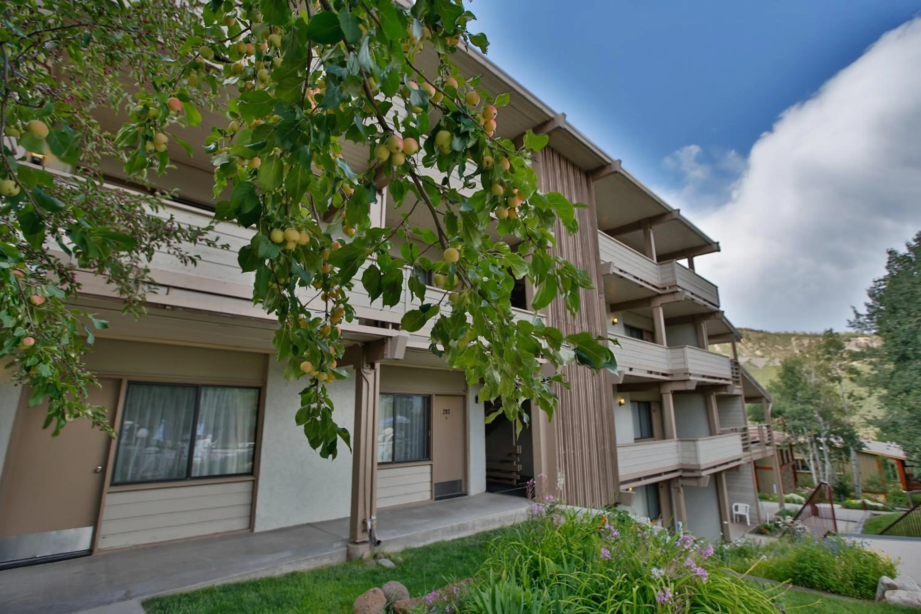 Facade/entrance in Pokolodi Lodge