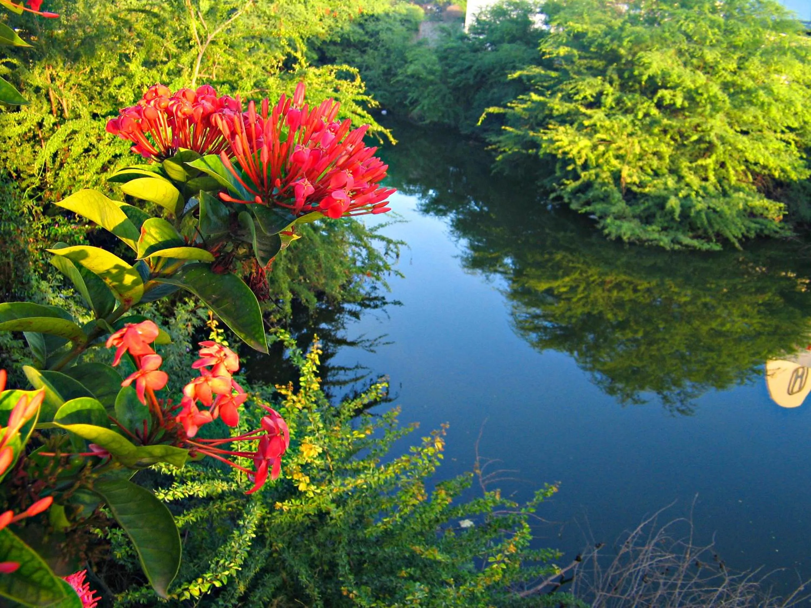 Day in Hotel VillaOeste