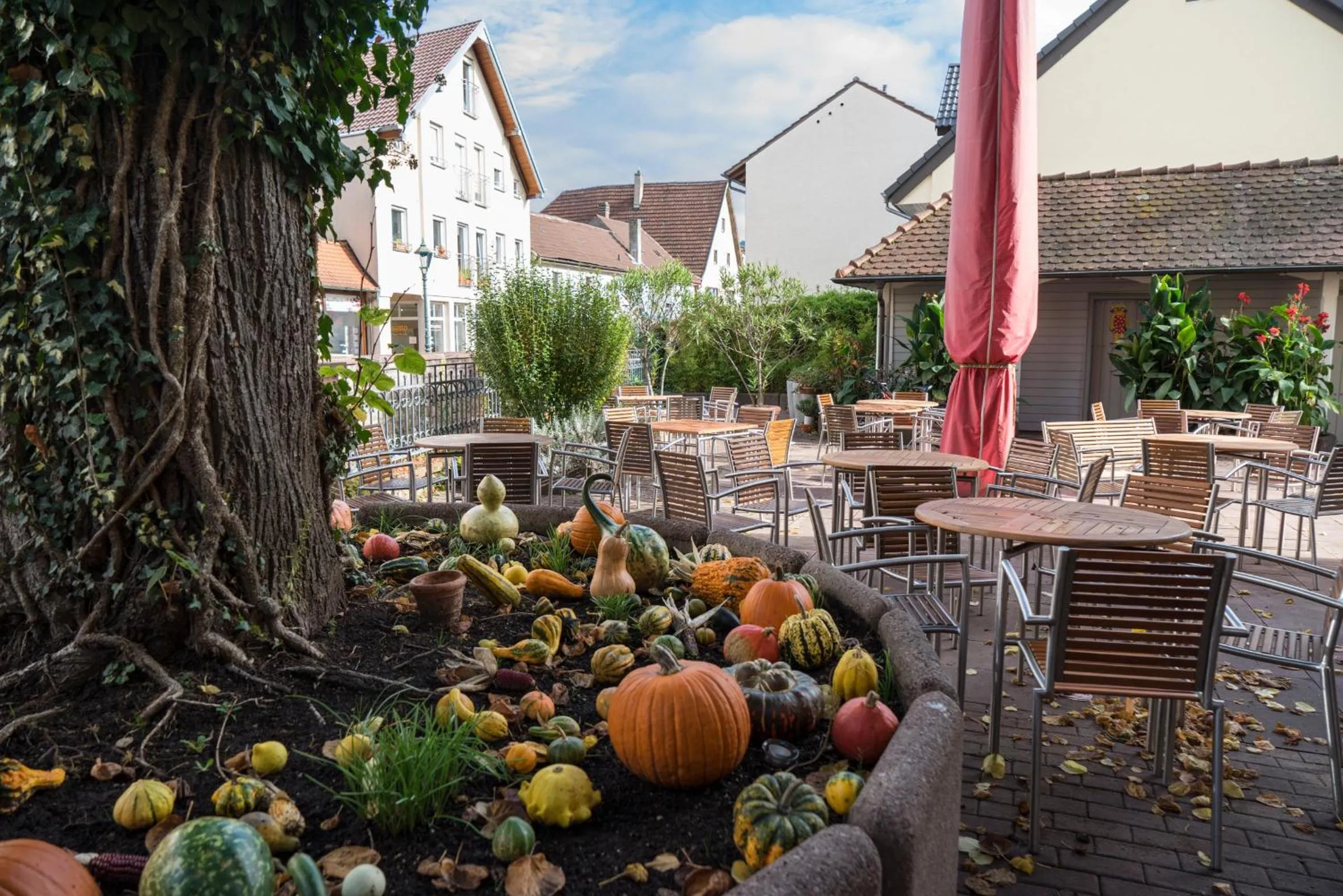 Patio in Badischer Hof