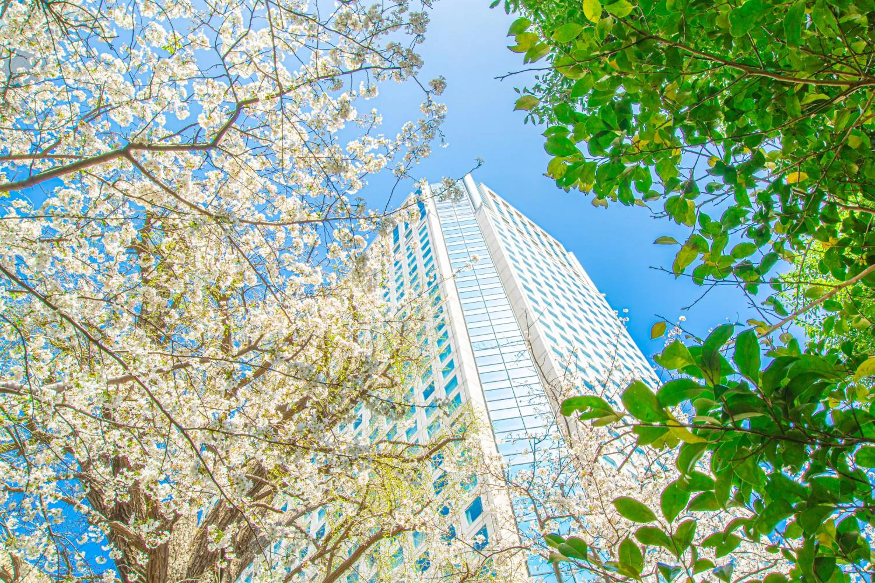 Property building in Shinagawa Prince Hotel