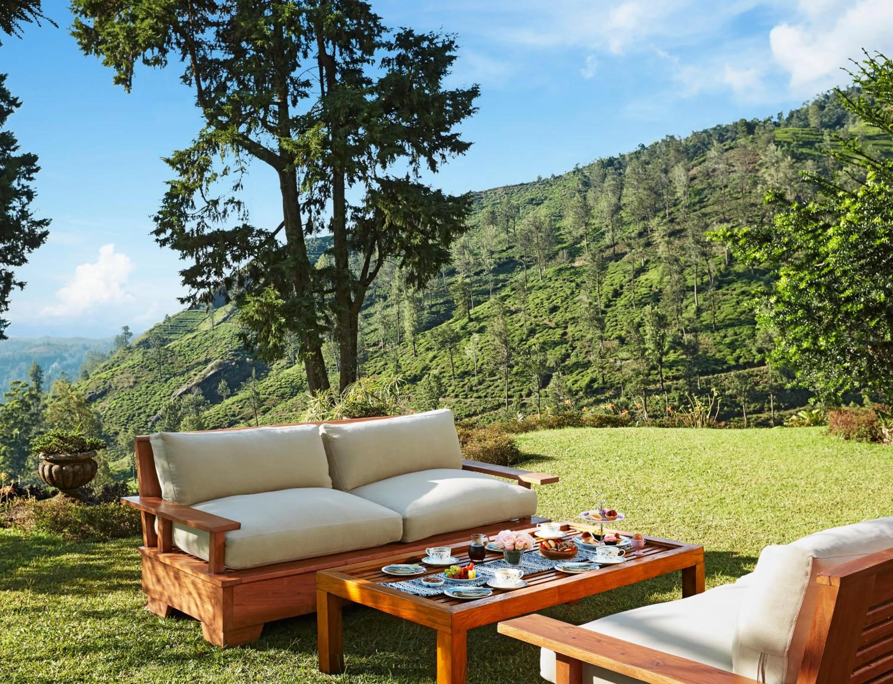 Natural landscape in Jetwing Warwick Gardens
