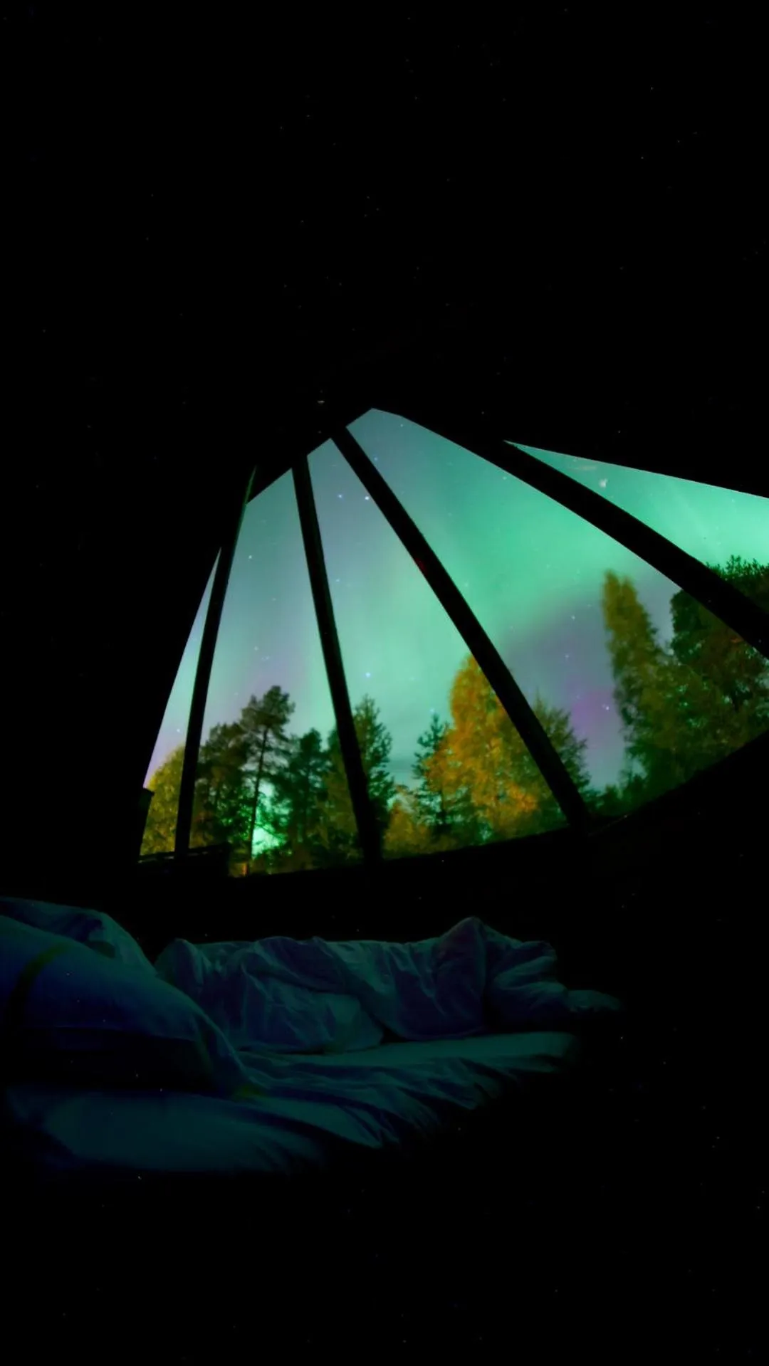 View (from property/room) in Pyhä Igloos