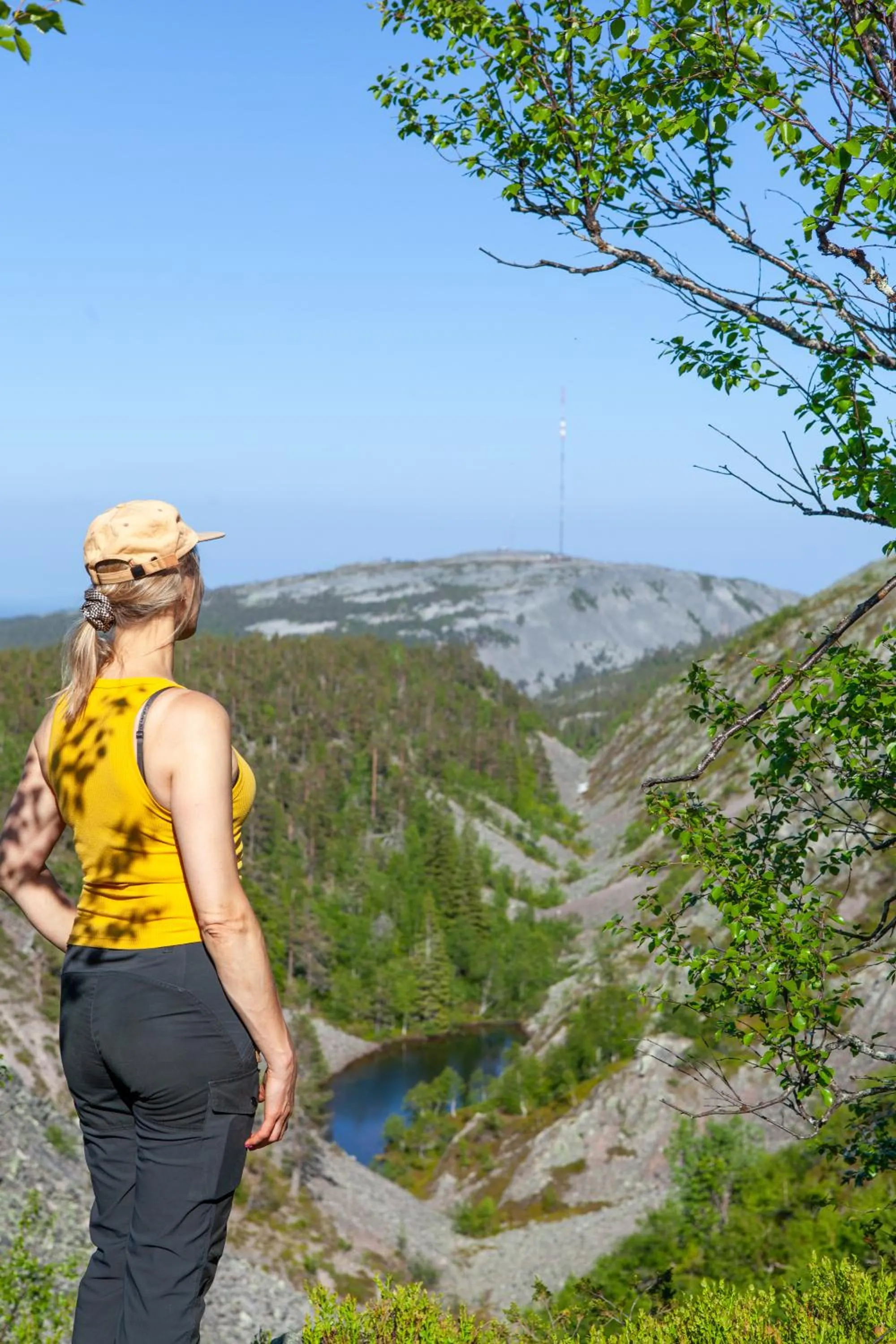 Mountain view in Pyhä Igloos