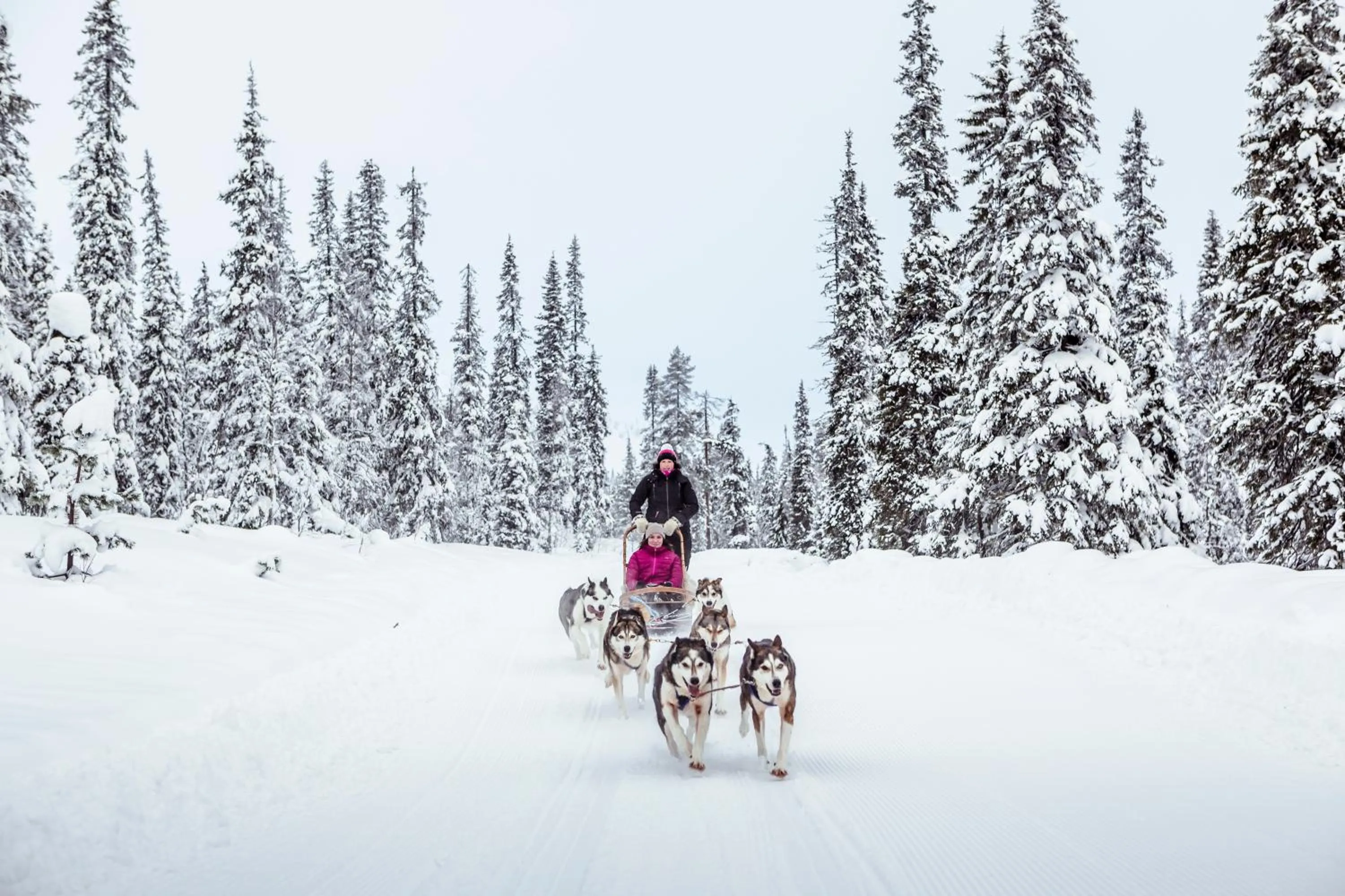Off site in Pyhä Igloos