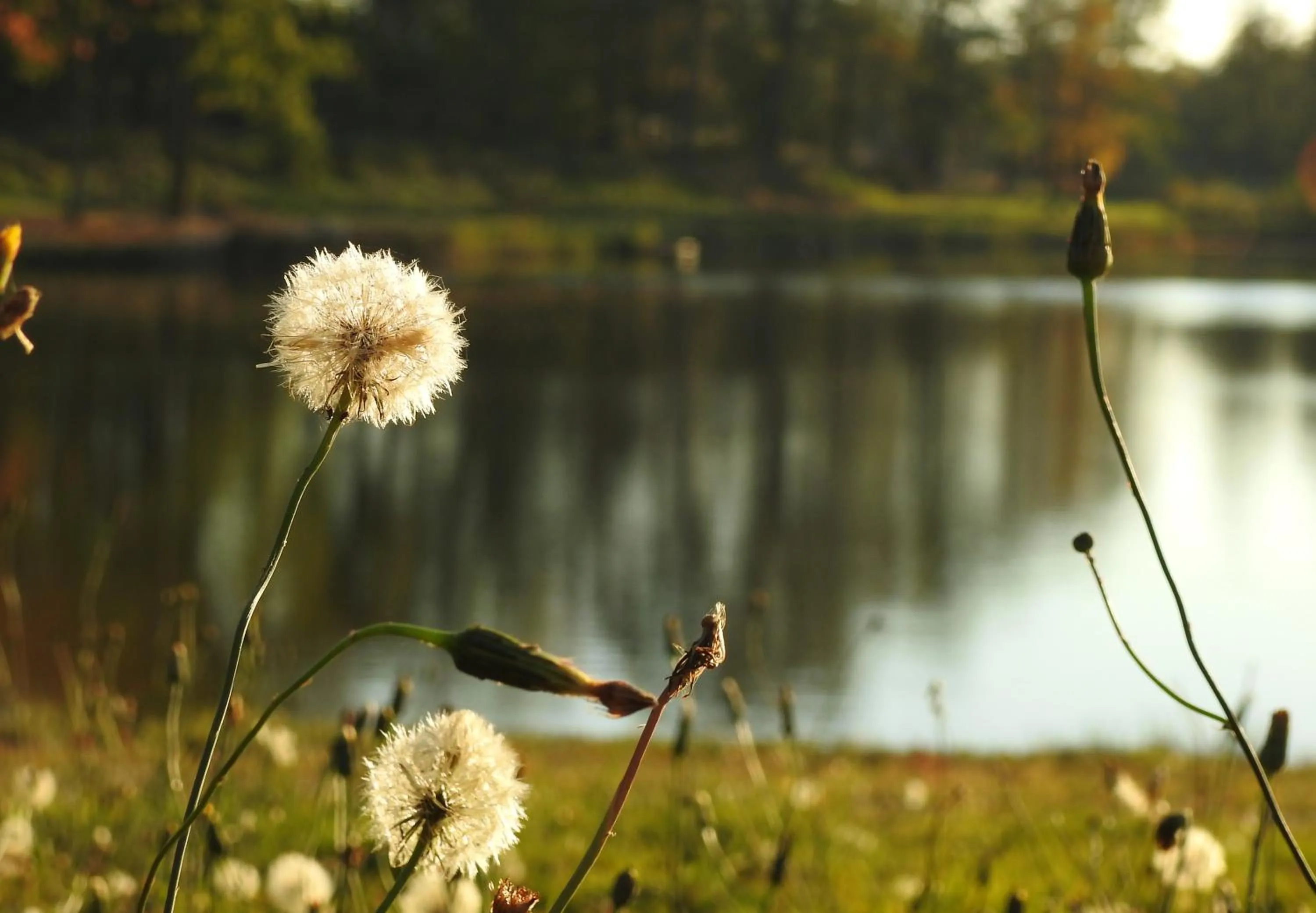 Natural landscape in Anastasis