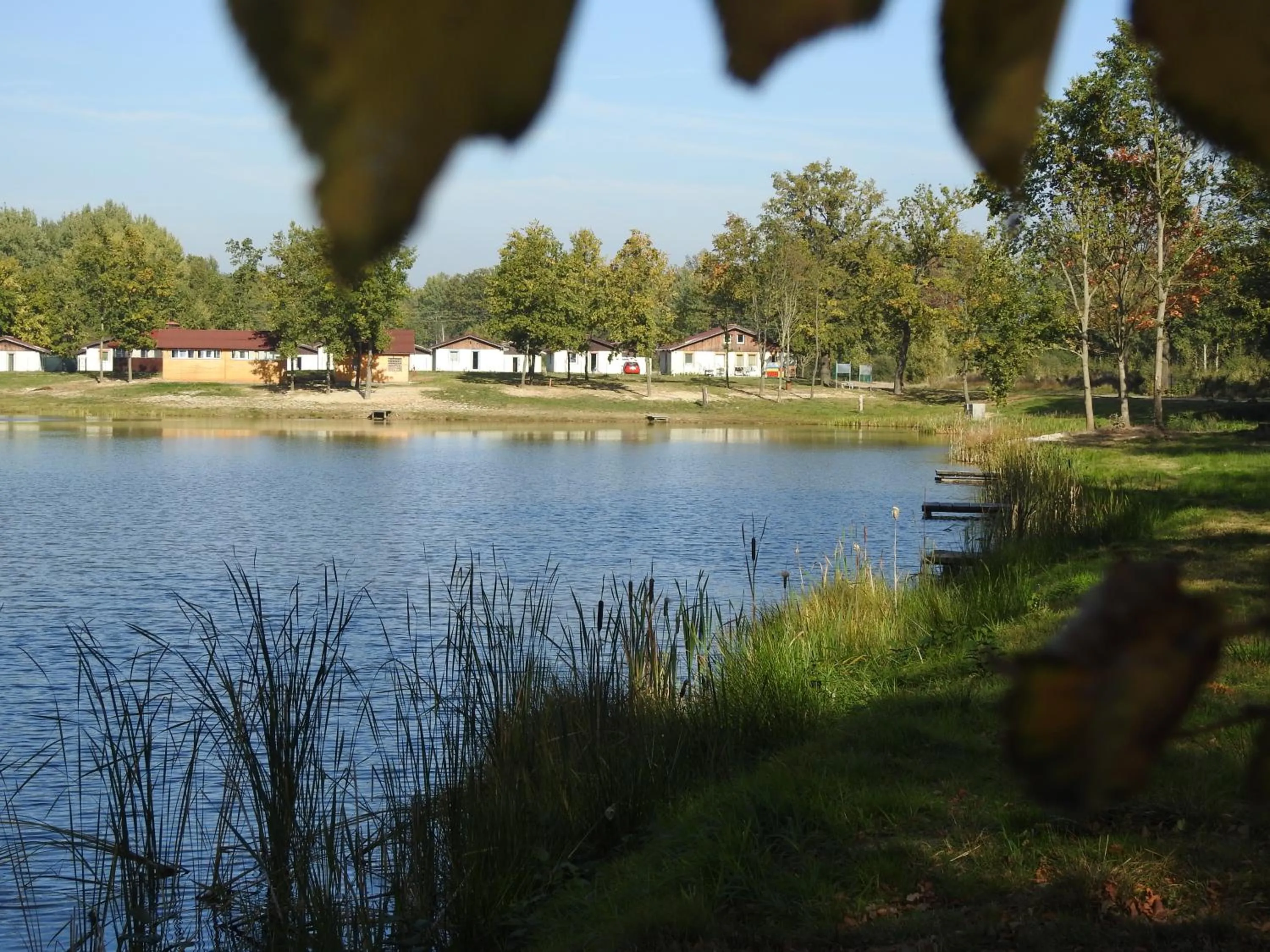 Neighbourhood in Anastasis