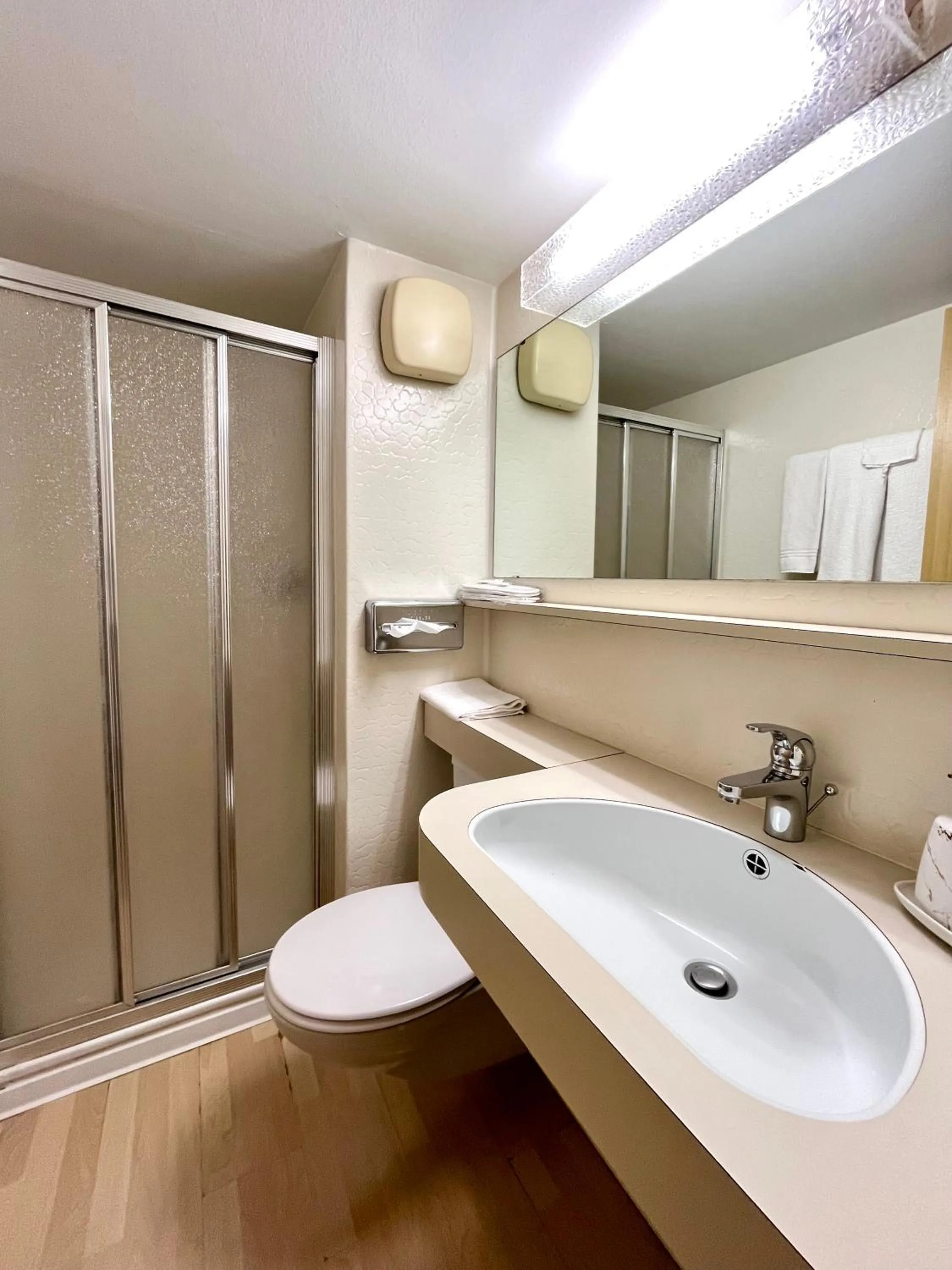 Toilet in Seiler's Hotel