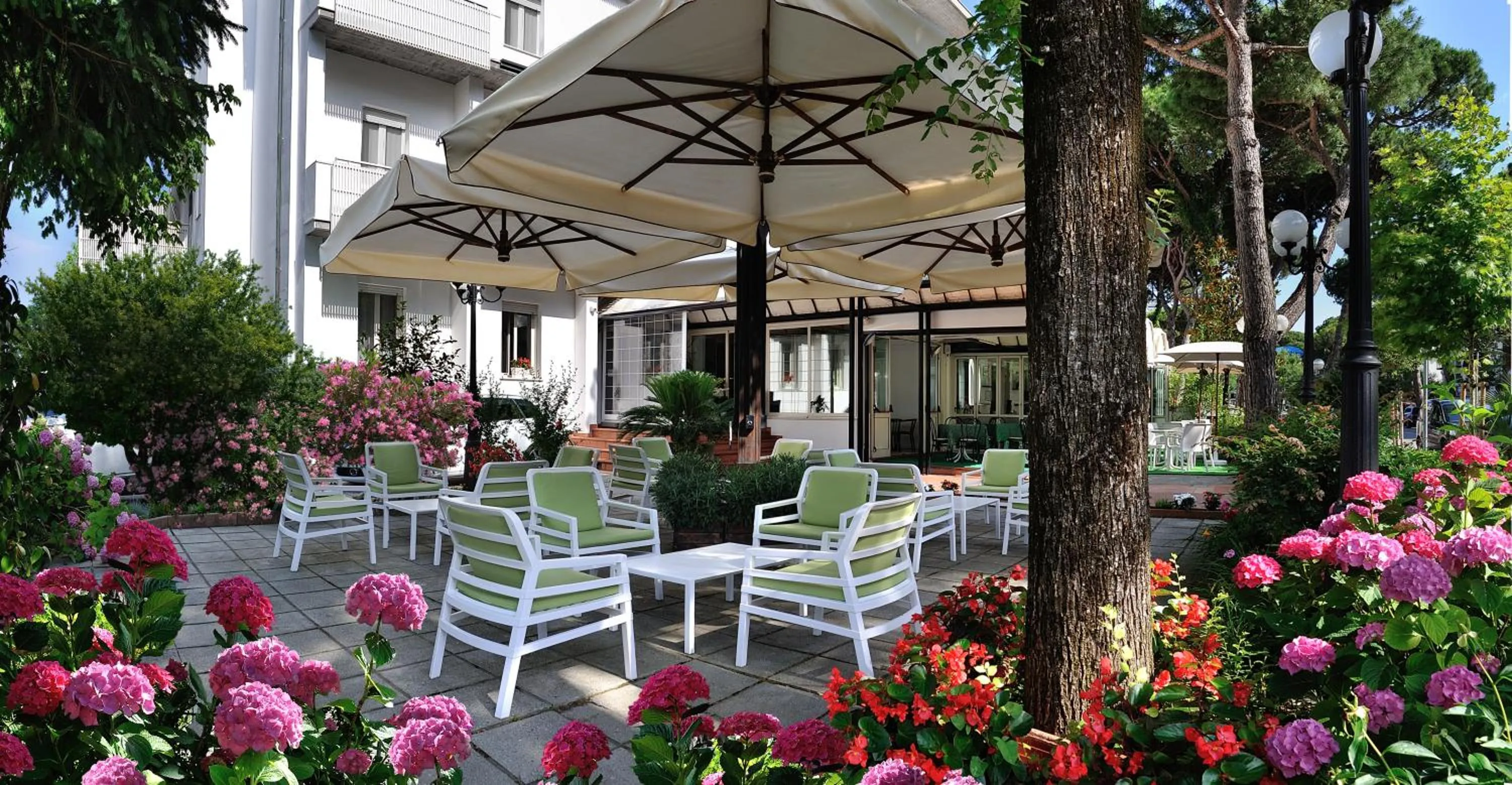 Garden in Hotel Suisse